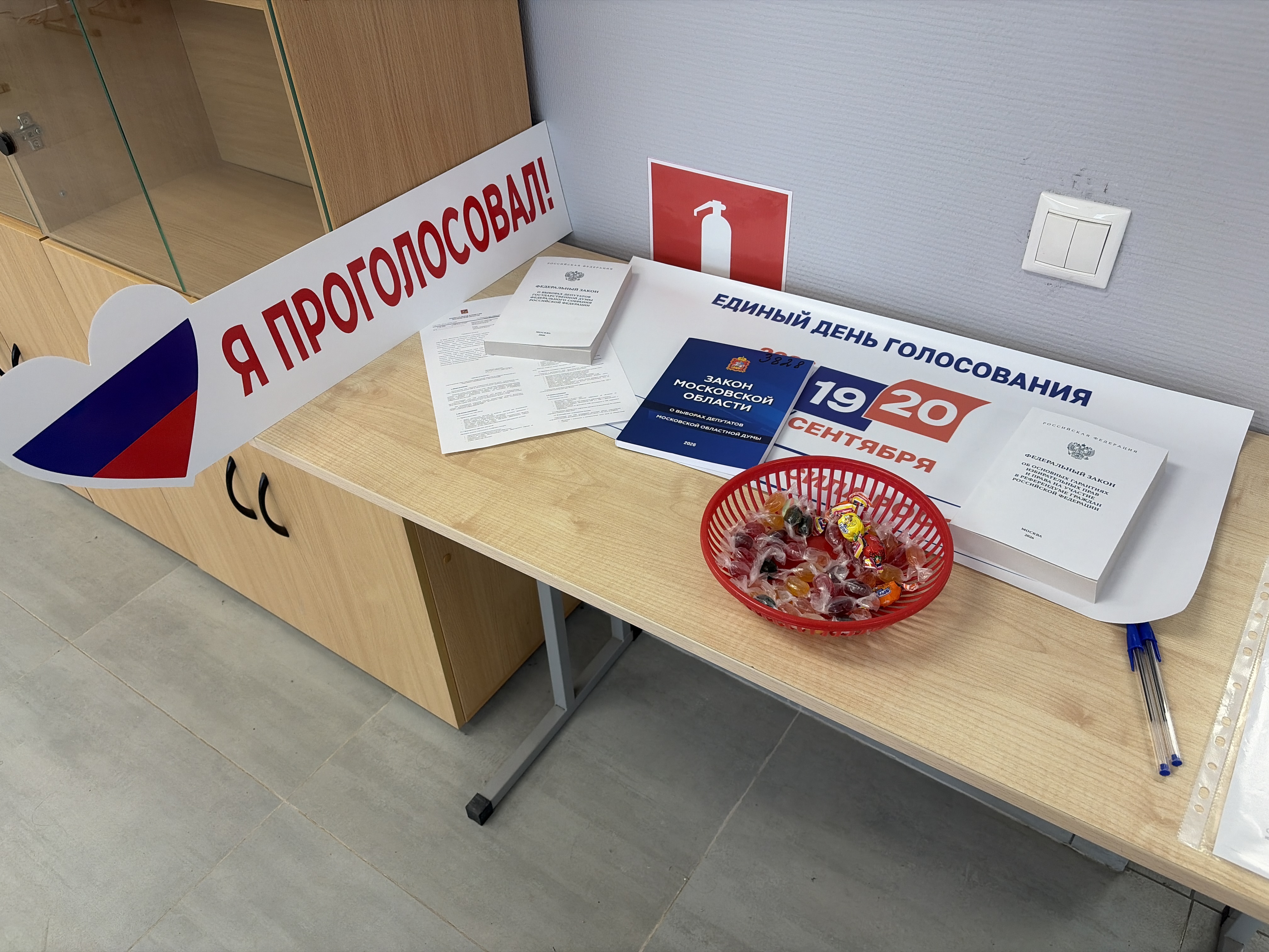 Сообщение — УИК №3828, Московская область