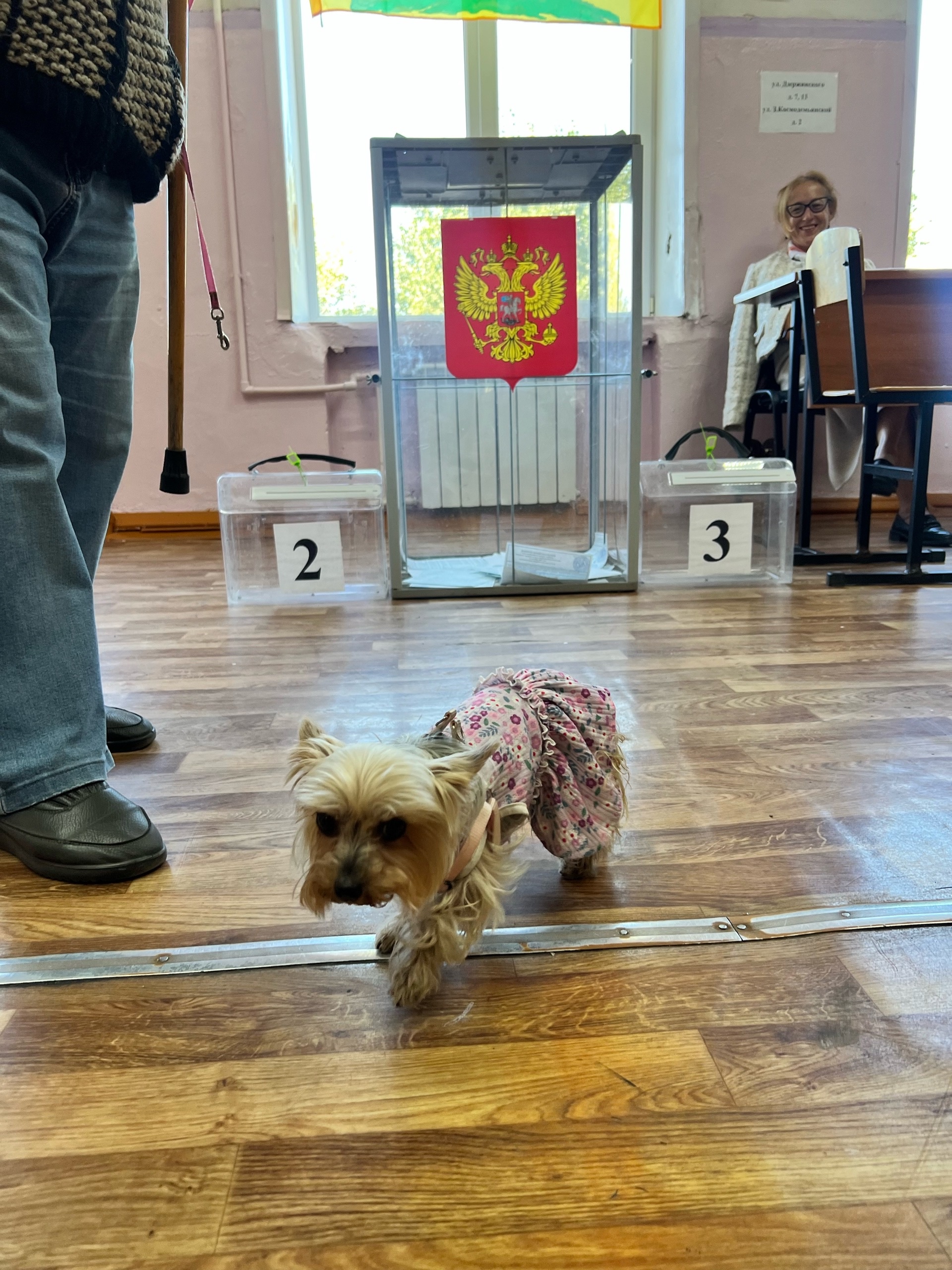 Сообщение наблюдателя — УИК №2112, Липецкая область