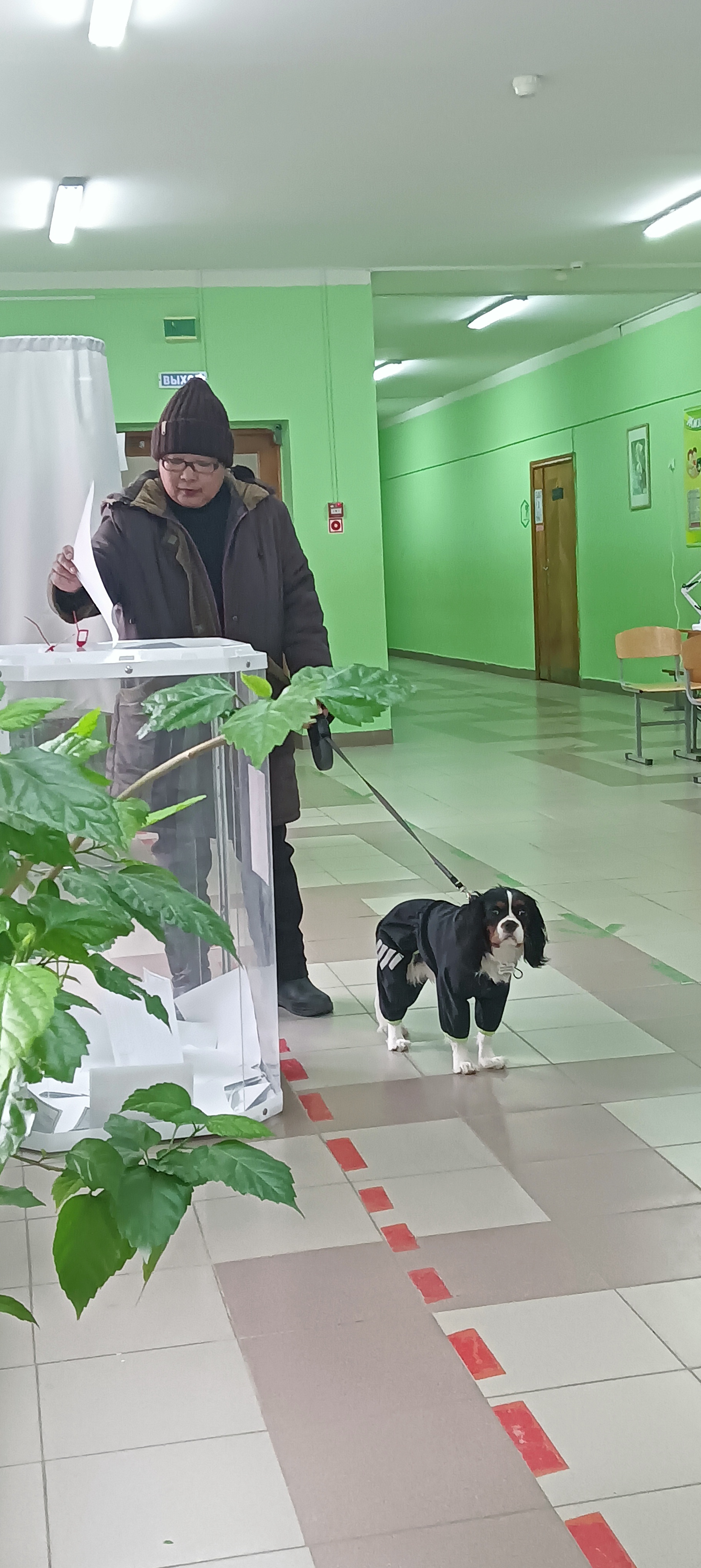 Сообщение наблюдателя — УИК №331, Белгородская область