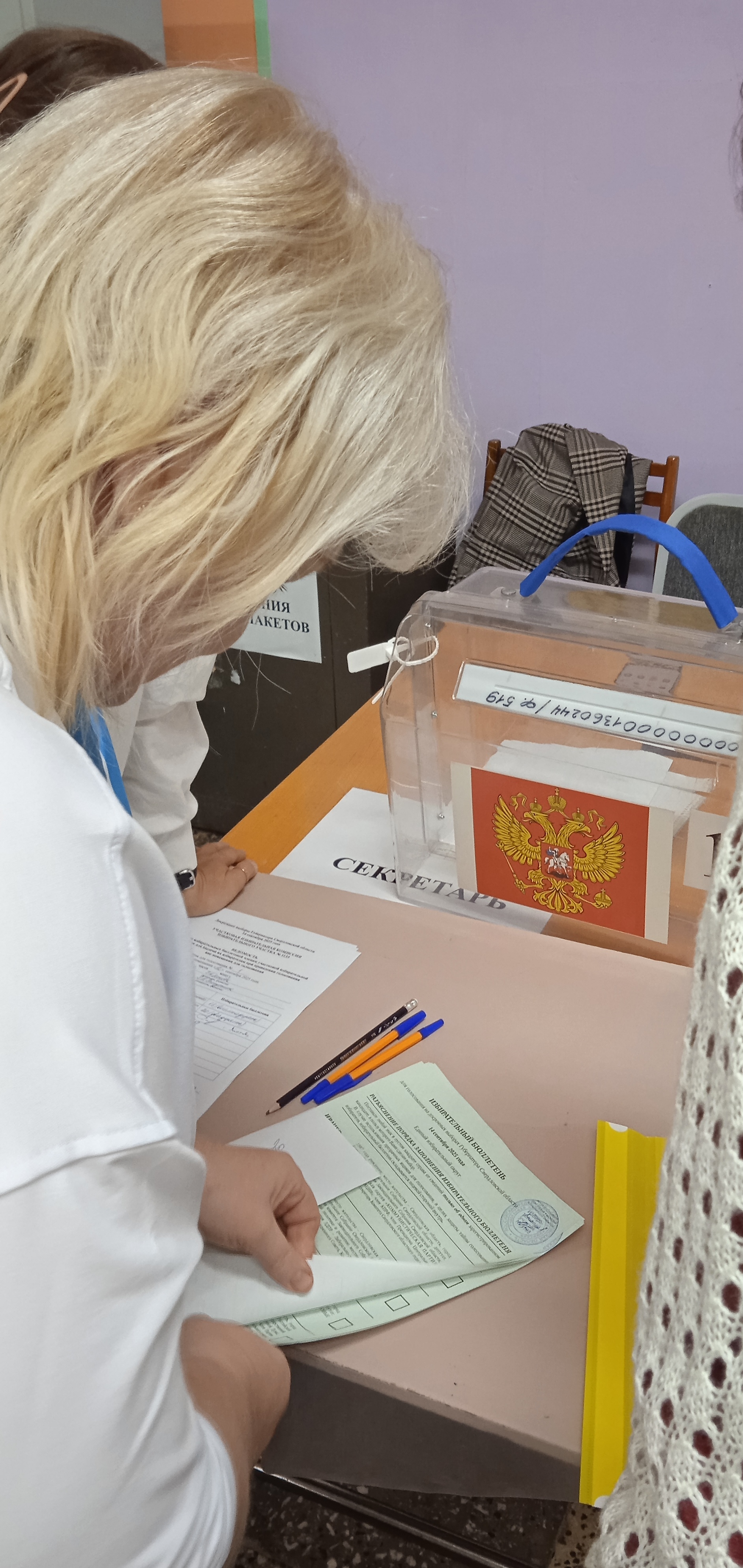 Сообщение наблюдателя — УИК №1133, Свердловская область