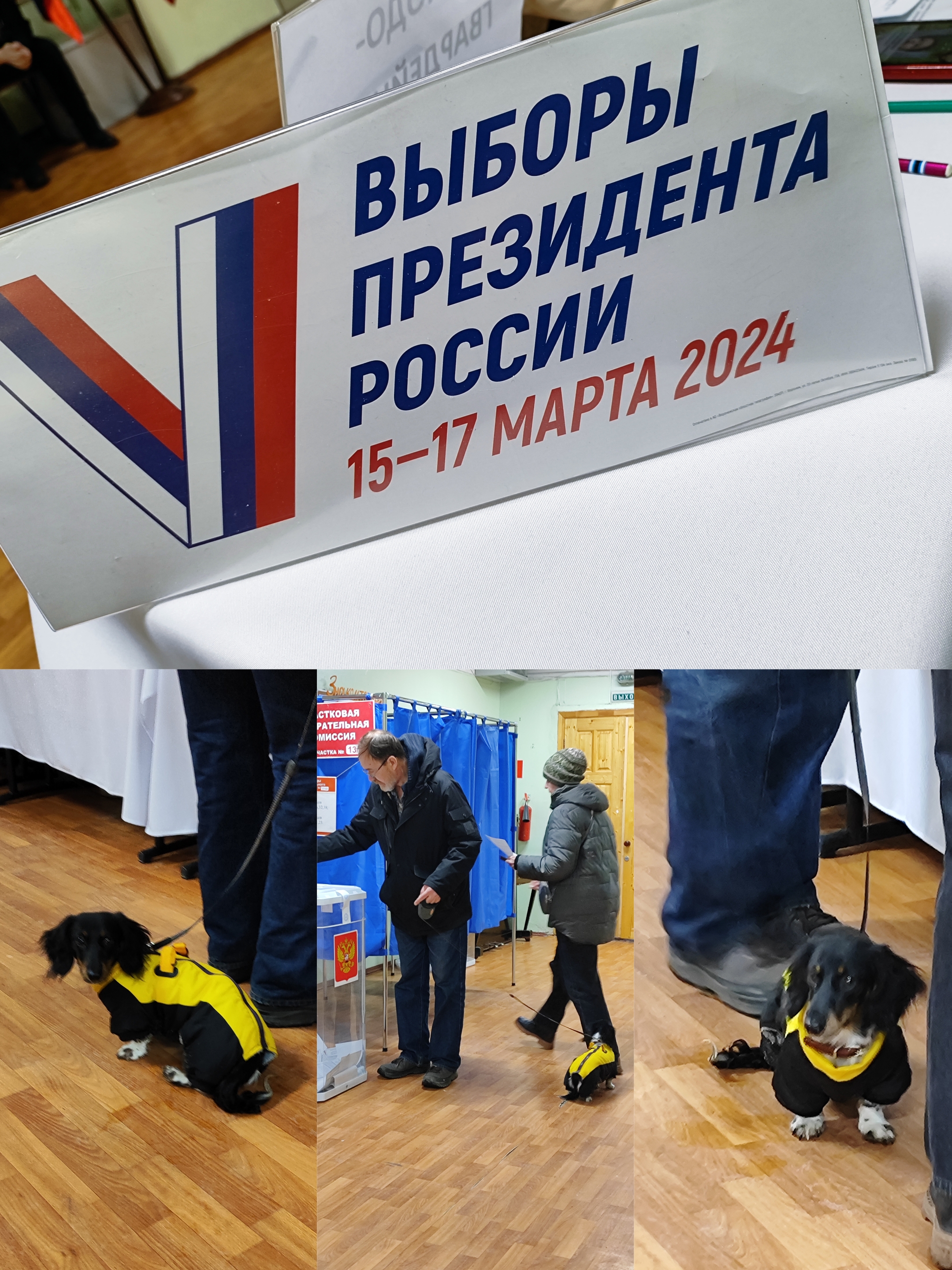 Сообщение наблюдателя — УИК №1344, Воронежская область