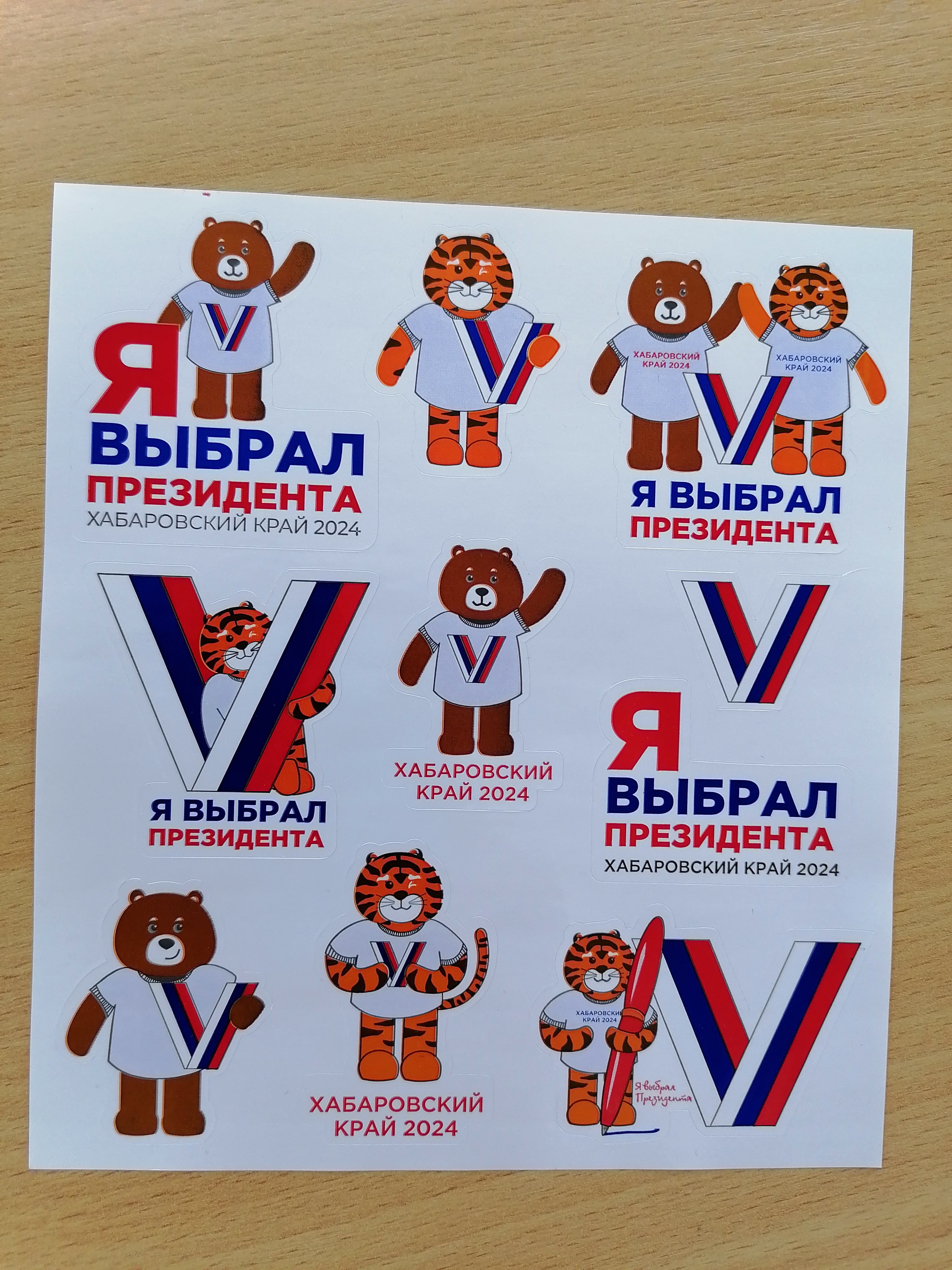 Сообщение наблюдателя — УИК №286, Хабаровский край