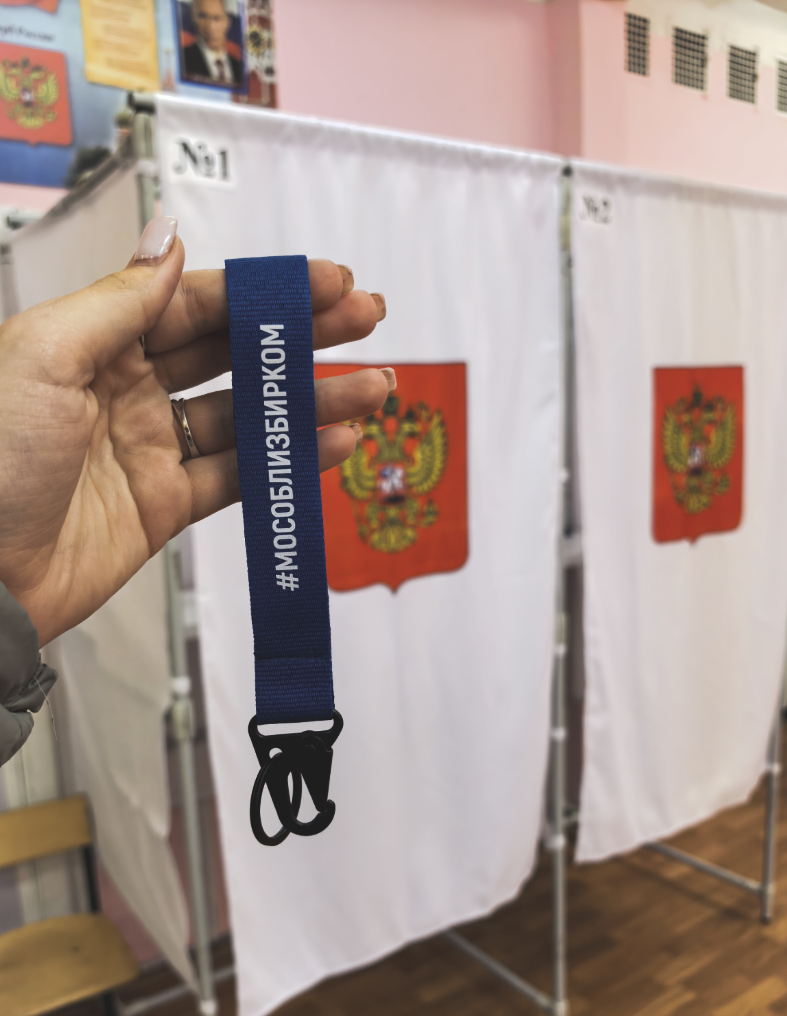 Сообщение — УИК №2931, Московская область