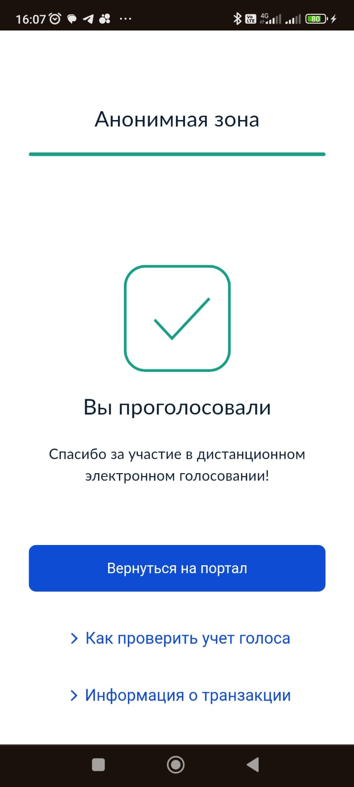 Сообщение наблюдателя — УИК №869, Архангельская область