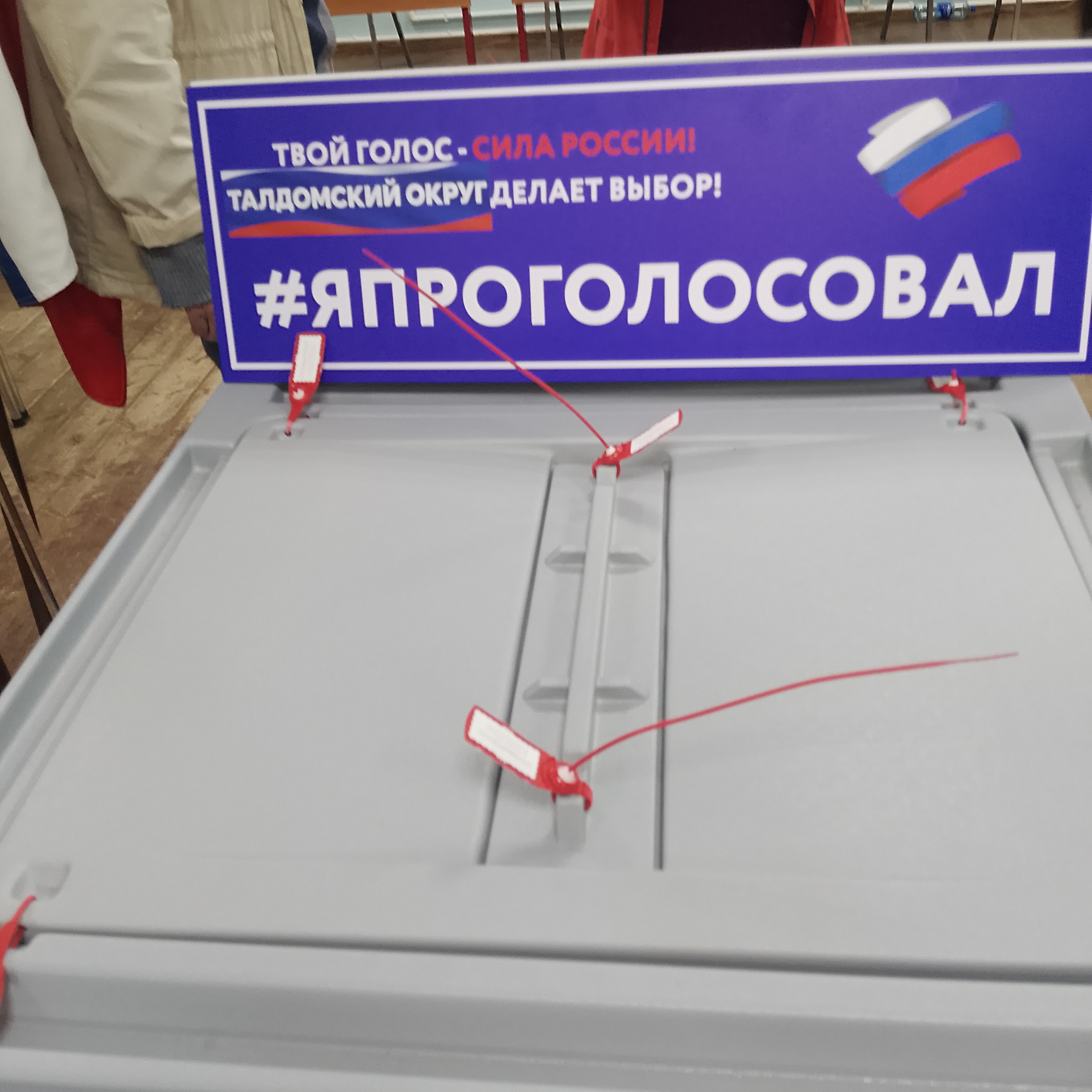 Сообщение — УИК №3095, Московская область