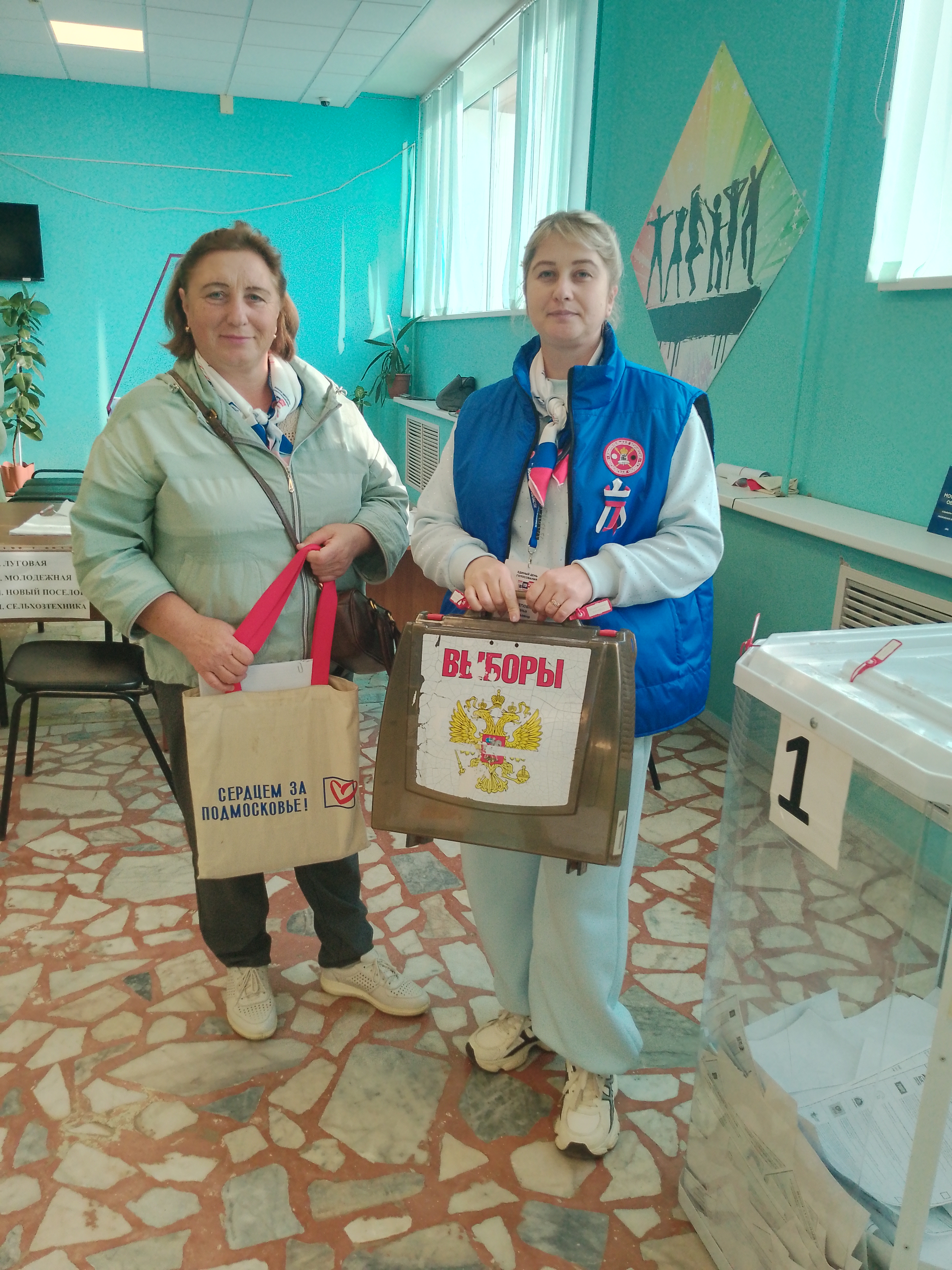 Сообщение — УИК №690, Московская область
