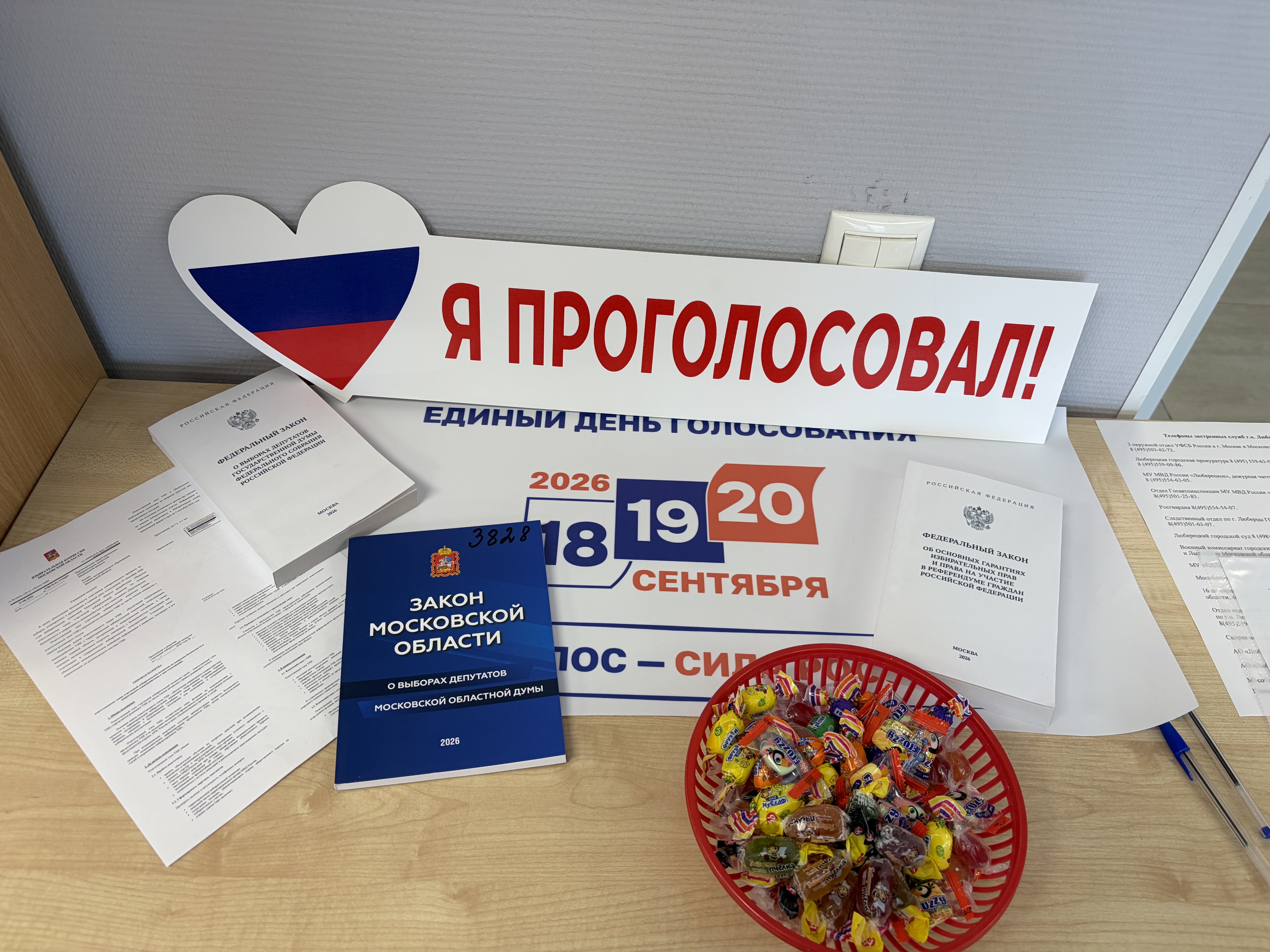 Сообщение — УИК №3828, Московская область