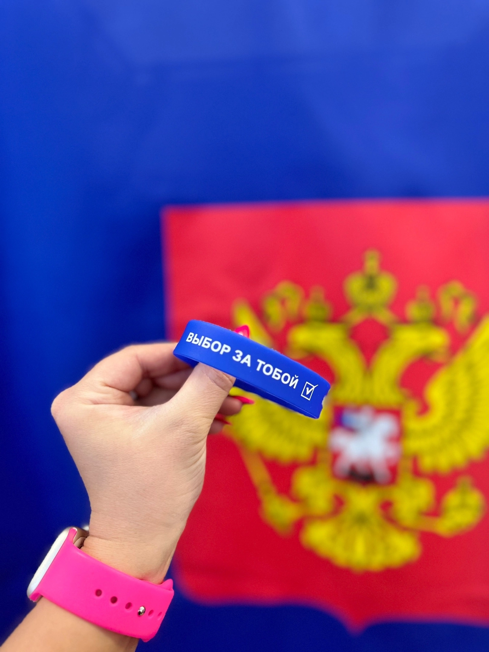 Сообщение наблюдателя — УИК №477, Нижегородская область