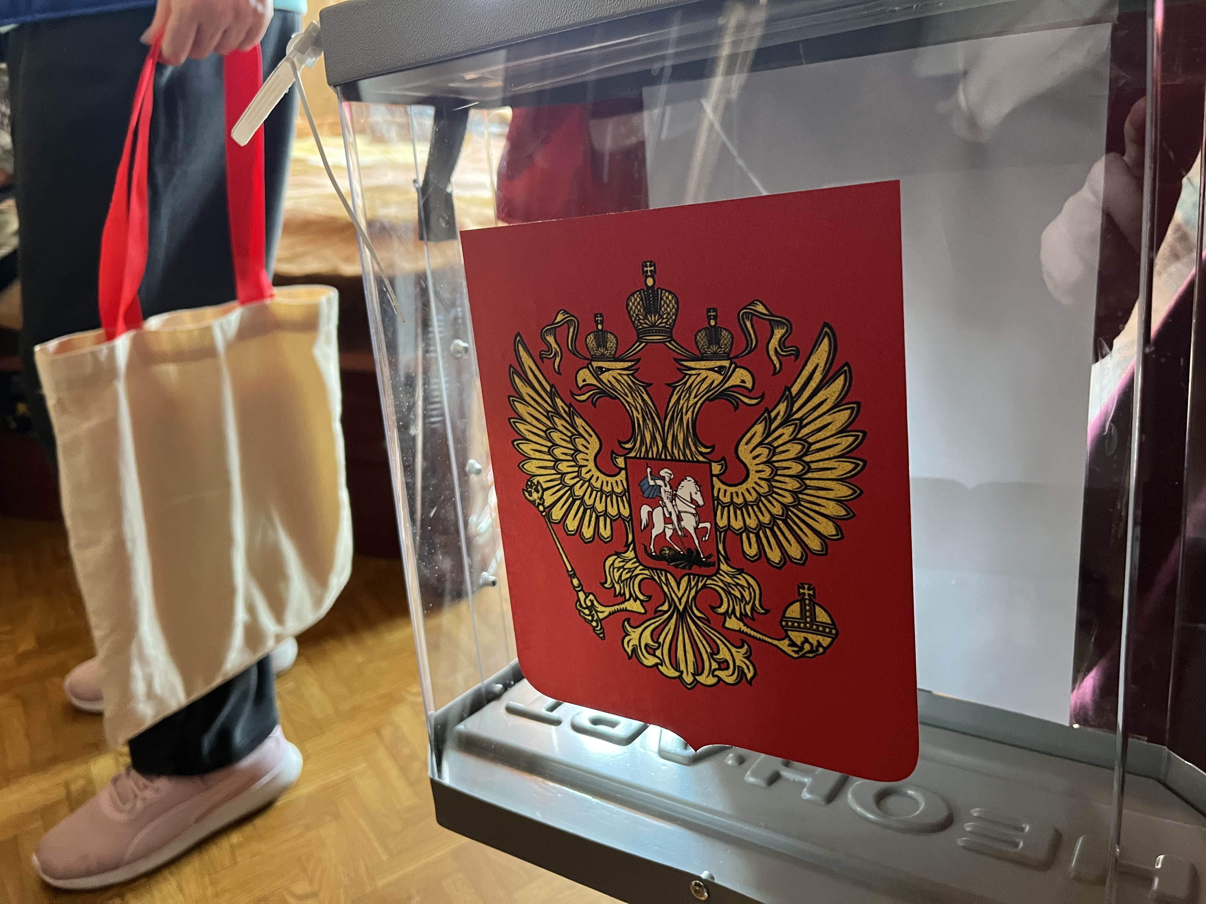 Сообщение — УИК №3135, Московская область