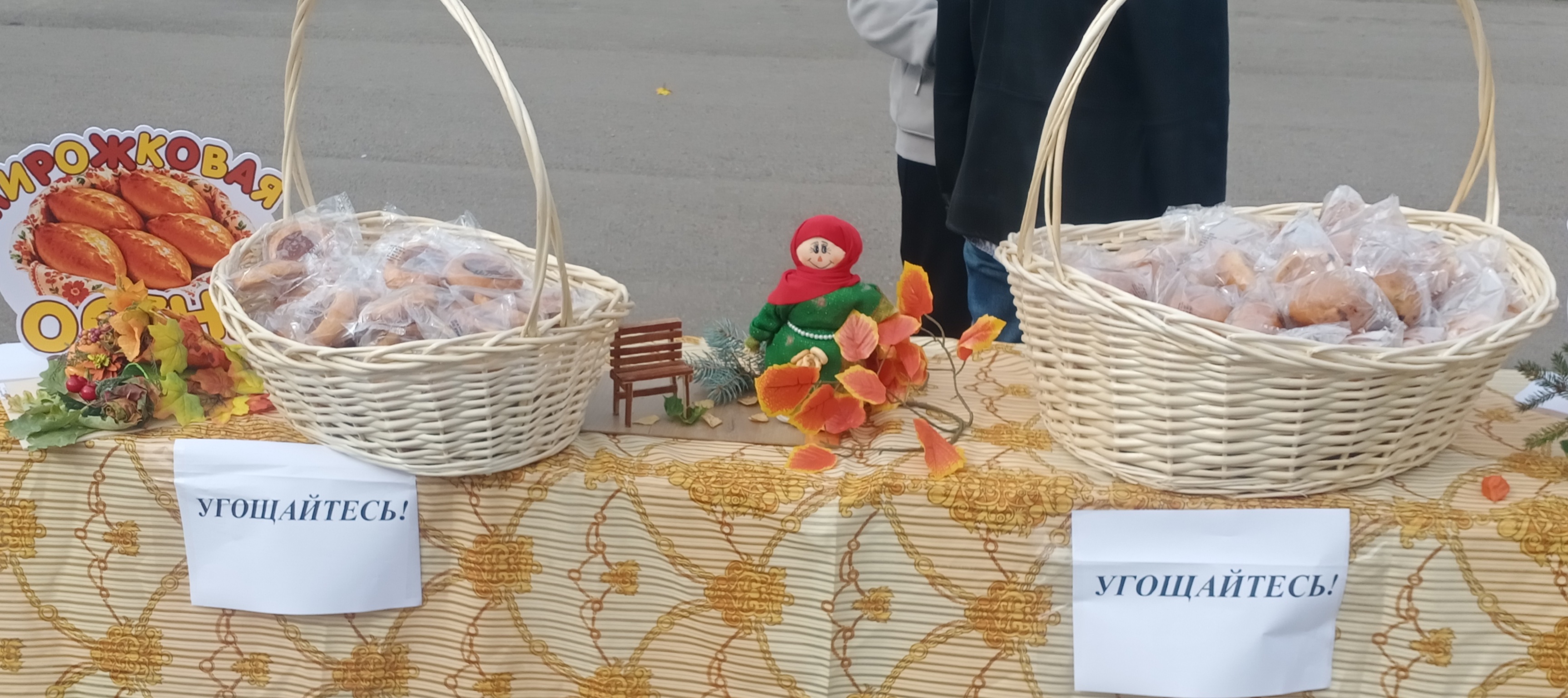 Сообщение — УИК №3137, Московская область