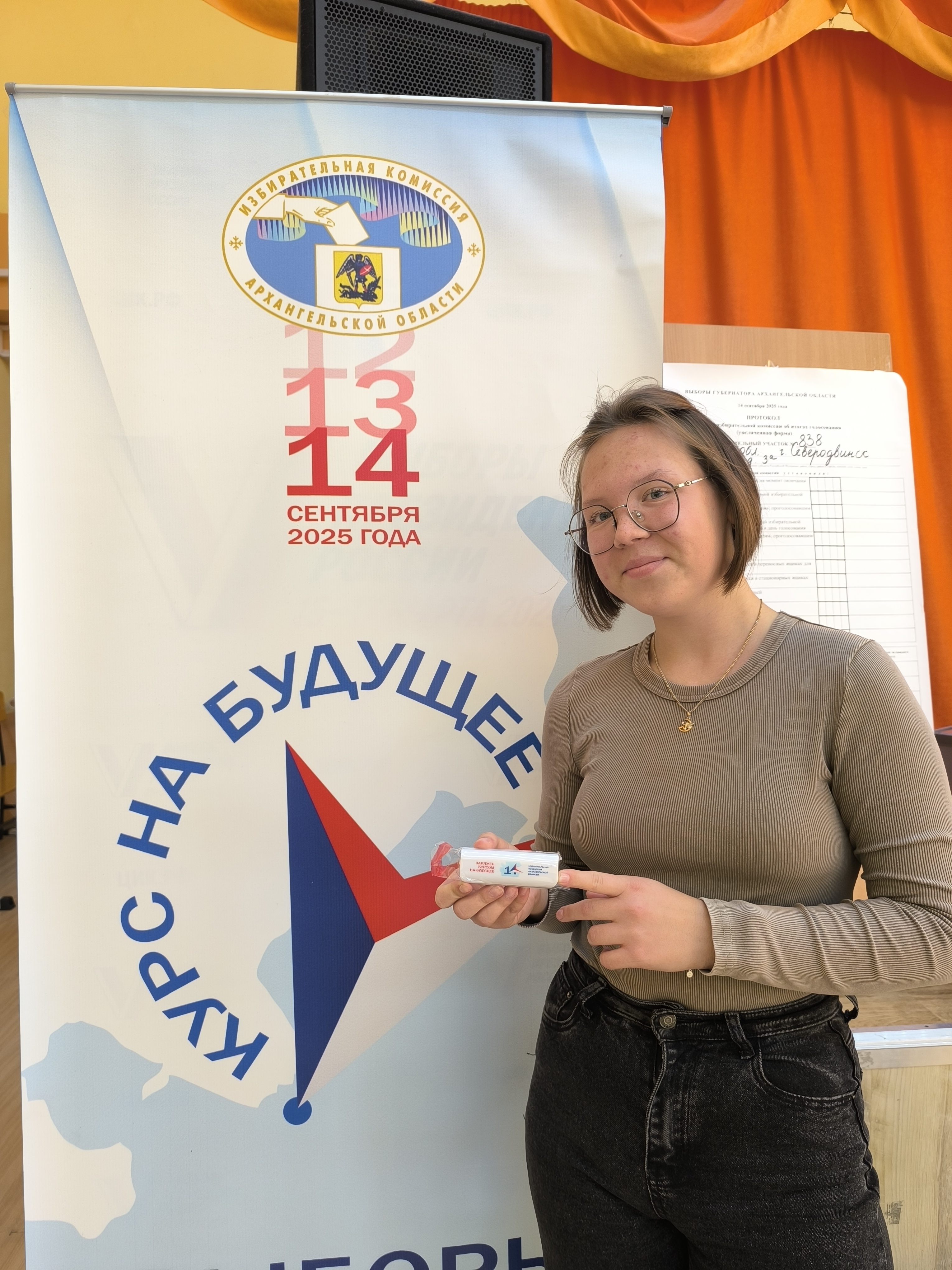 Сообщение наблюдателя — УИК №838, Архангельская область