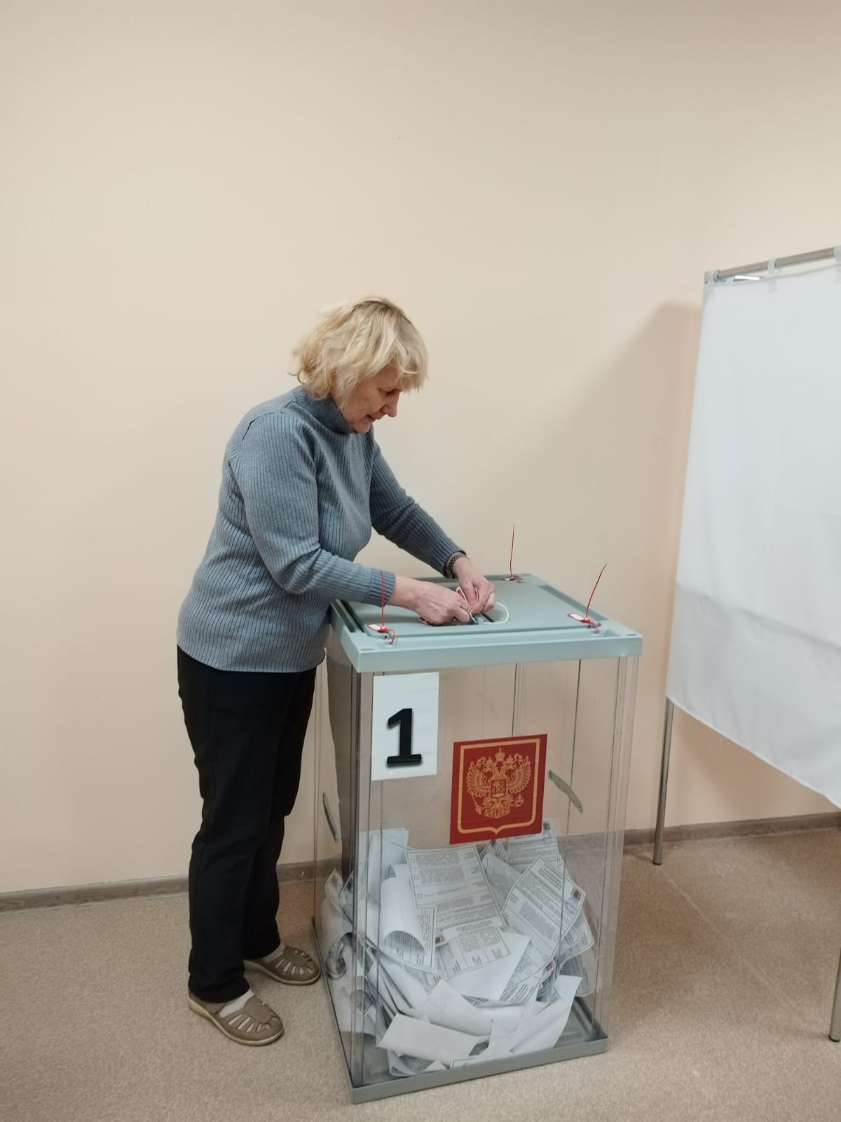 Сообщение наблюдателя — УИК №342, Республика Карелия