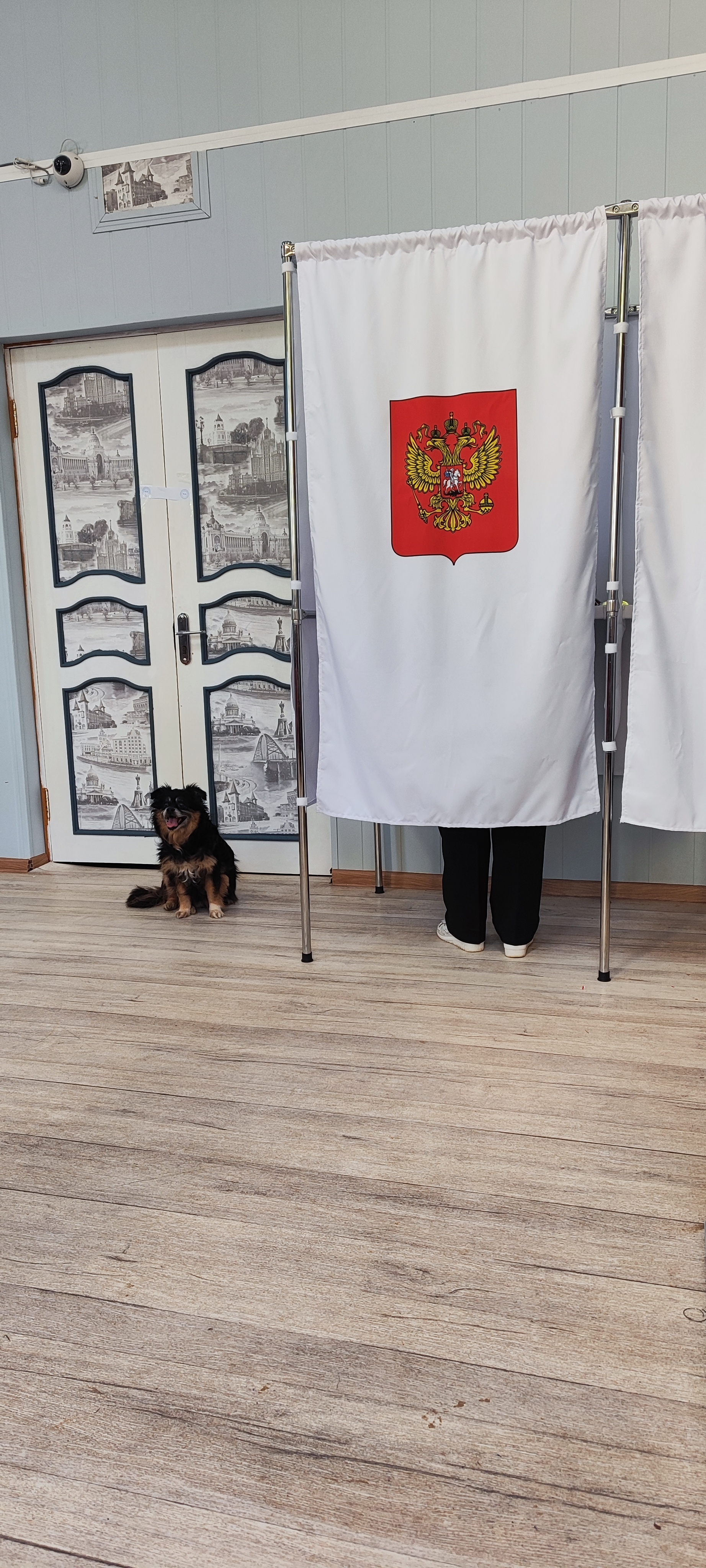 Сообщение — УИК №1602, Московская область