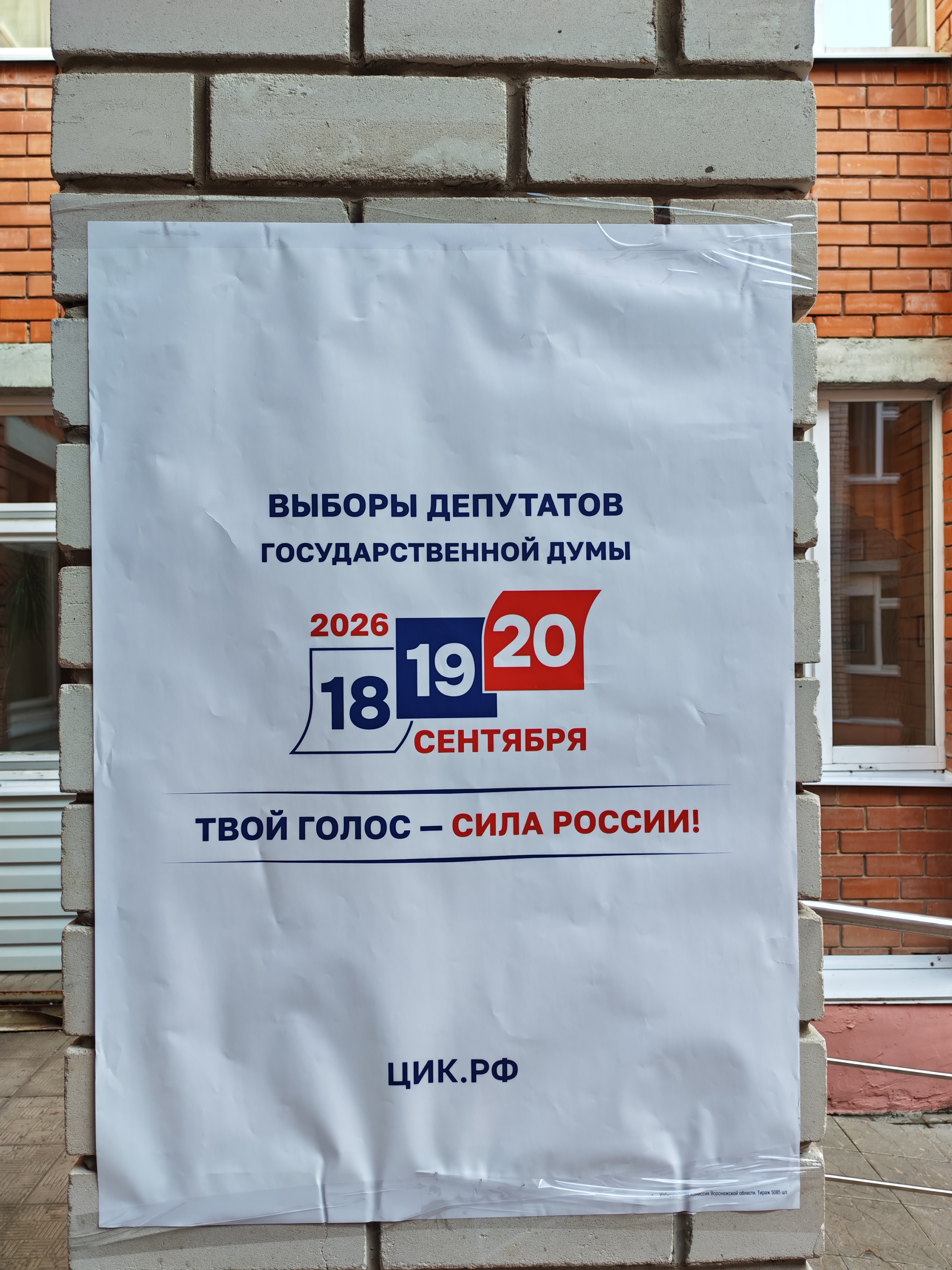 Сообщение — УИК №3102, Воронежская область