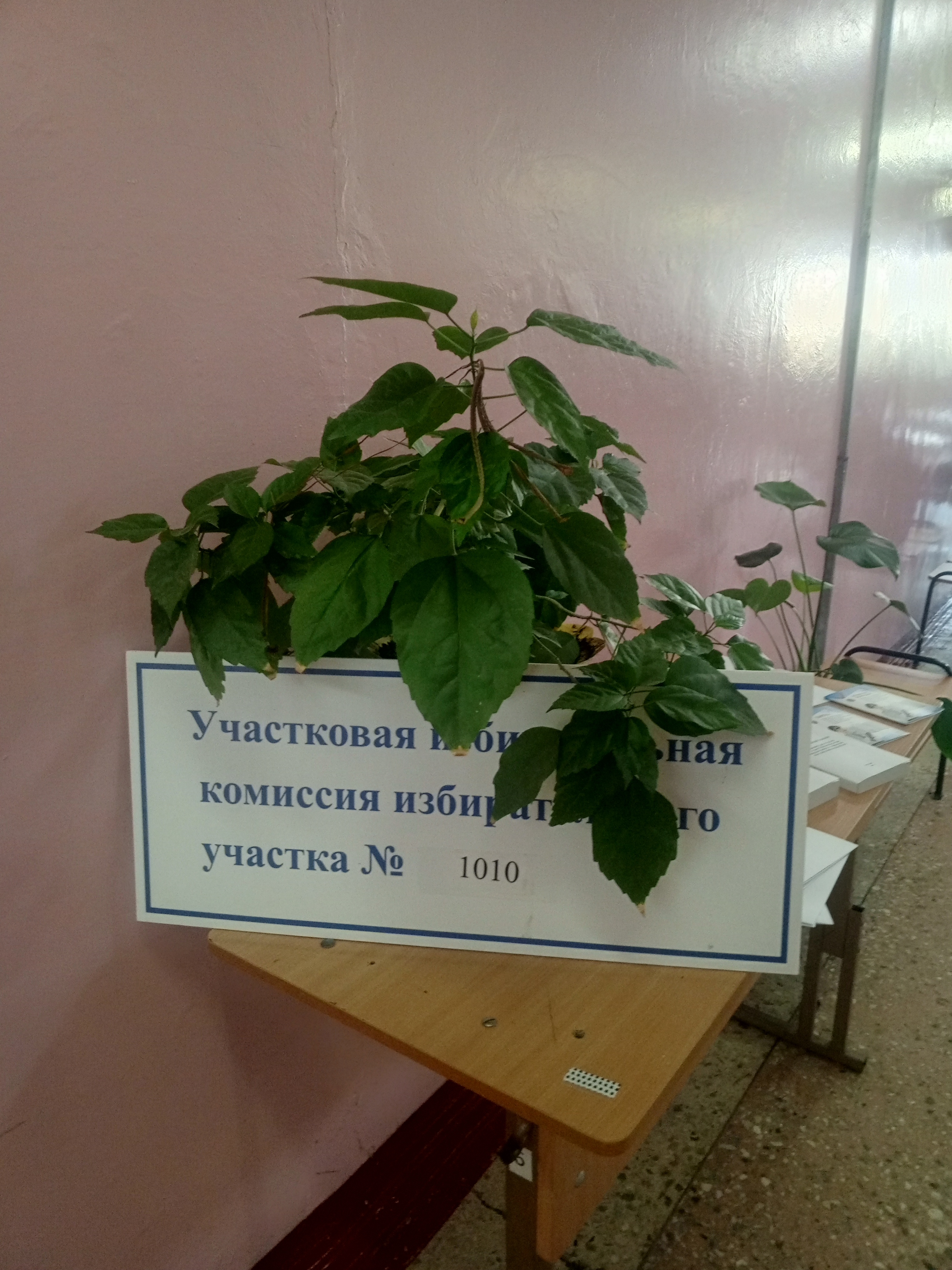 Сообщение — УИК №1010, Нижегородская область