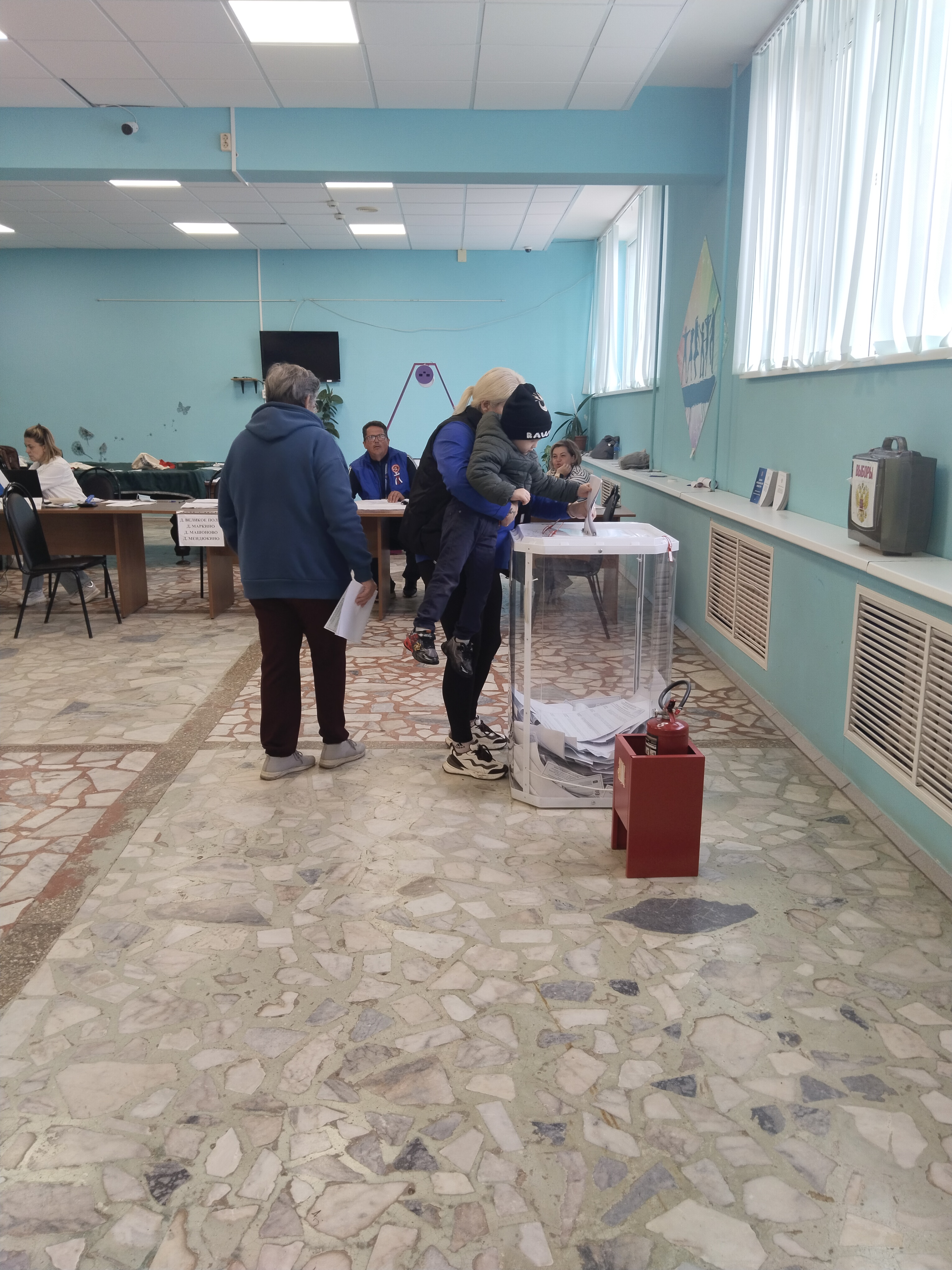 Сообщение — УИК №690, Московская область