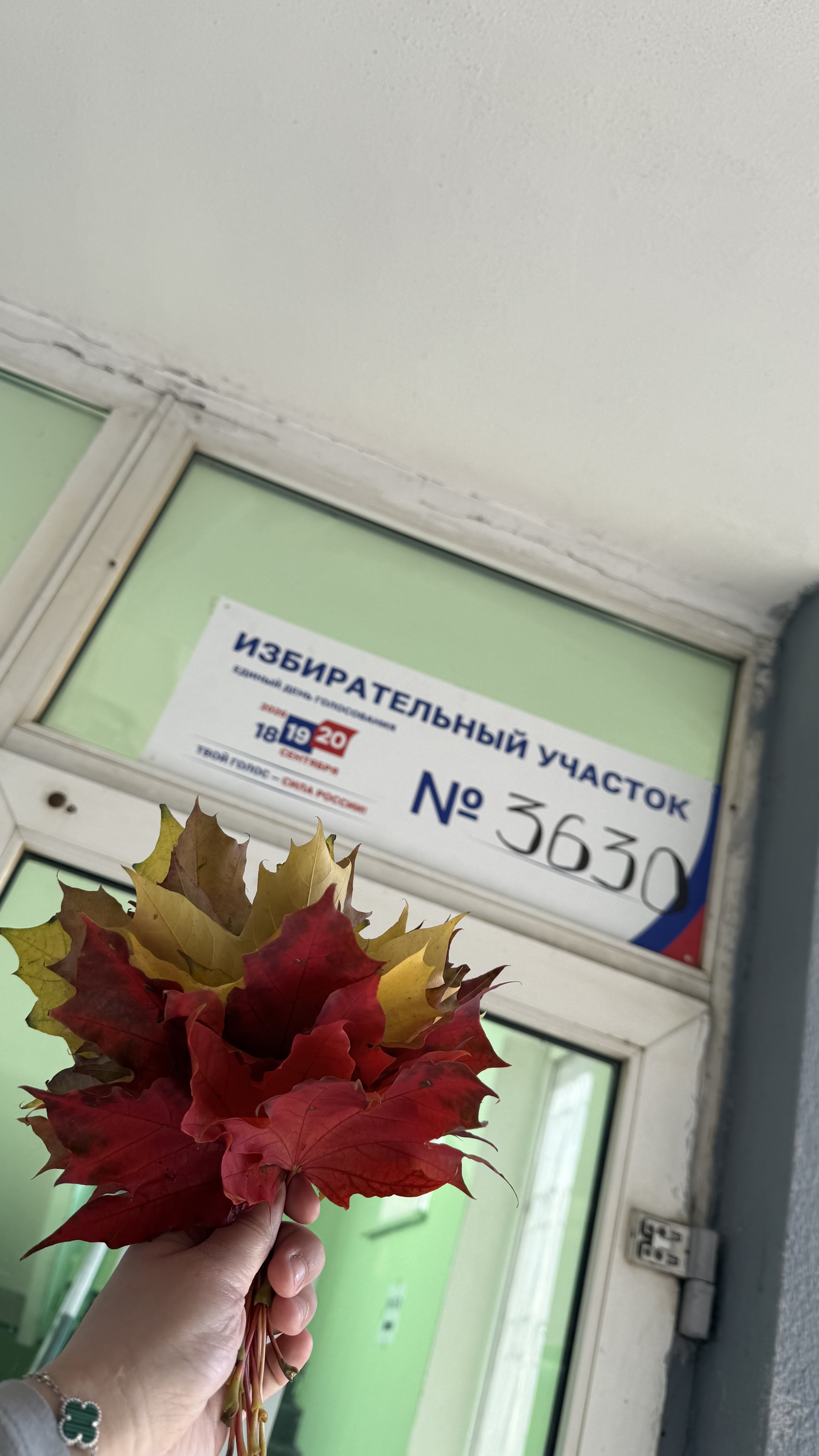 Сообщение — УИК №3630, Московская область