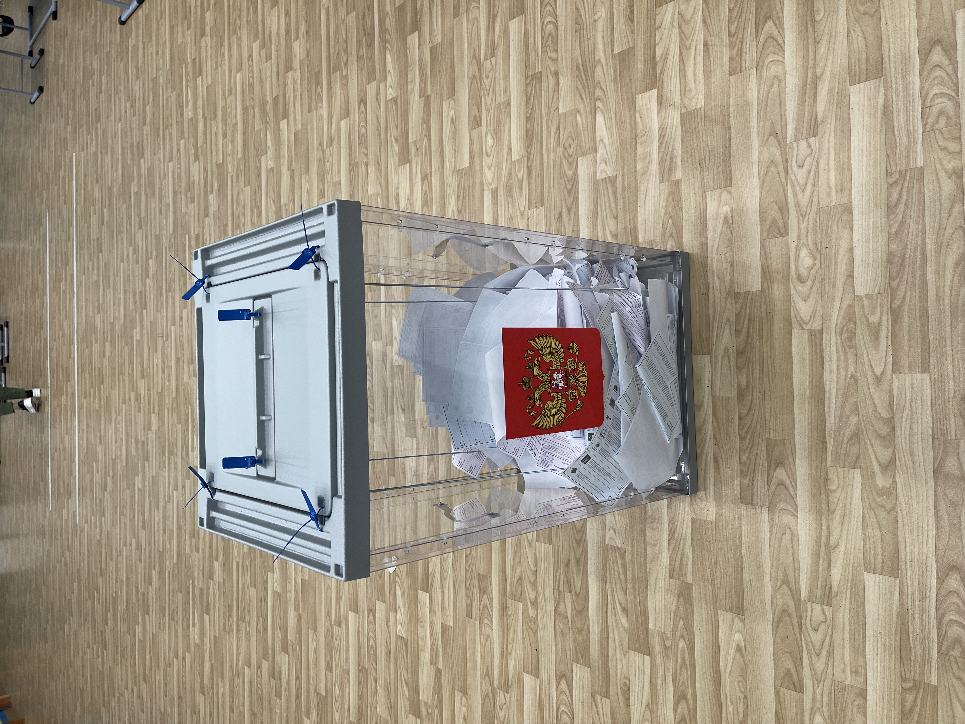 Сообщение — УИК №2462, Московская область