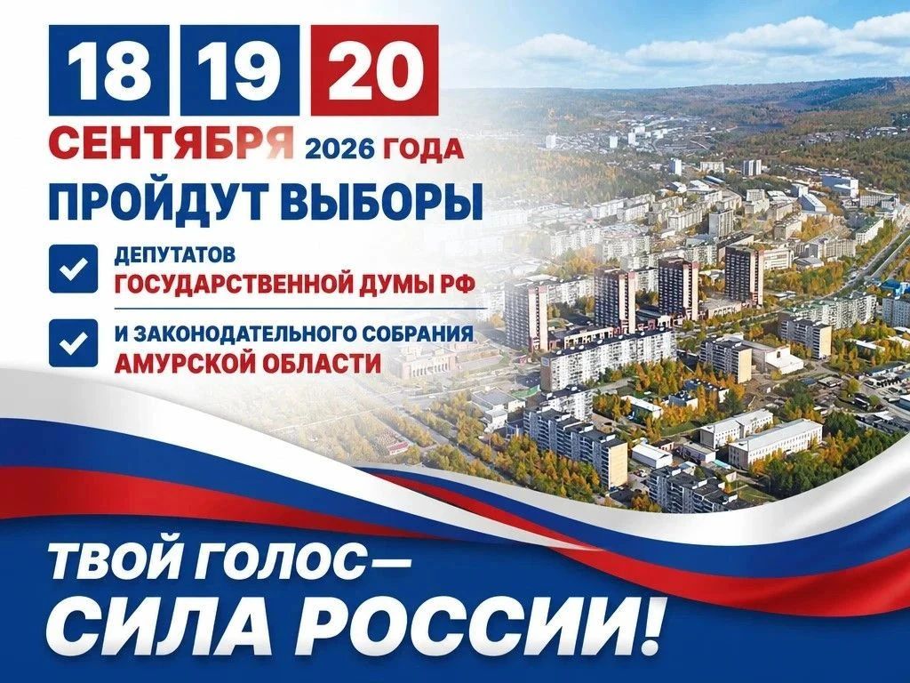 Сообщение — УИК №2023, Амурская область