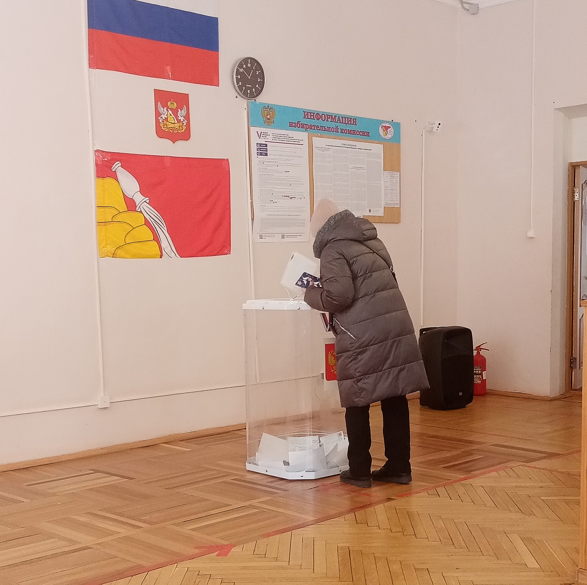 Сообщение наблюдателя — УИК №223, Воронежская область
