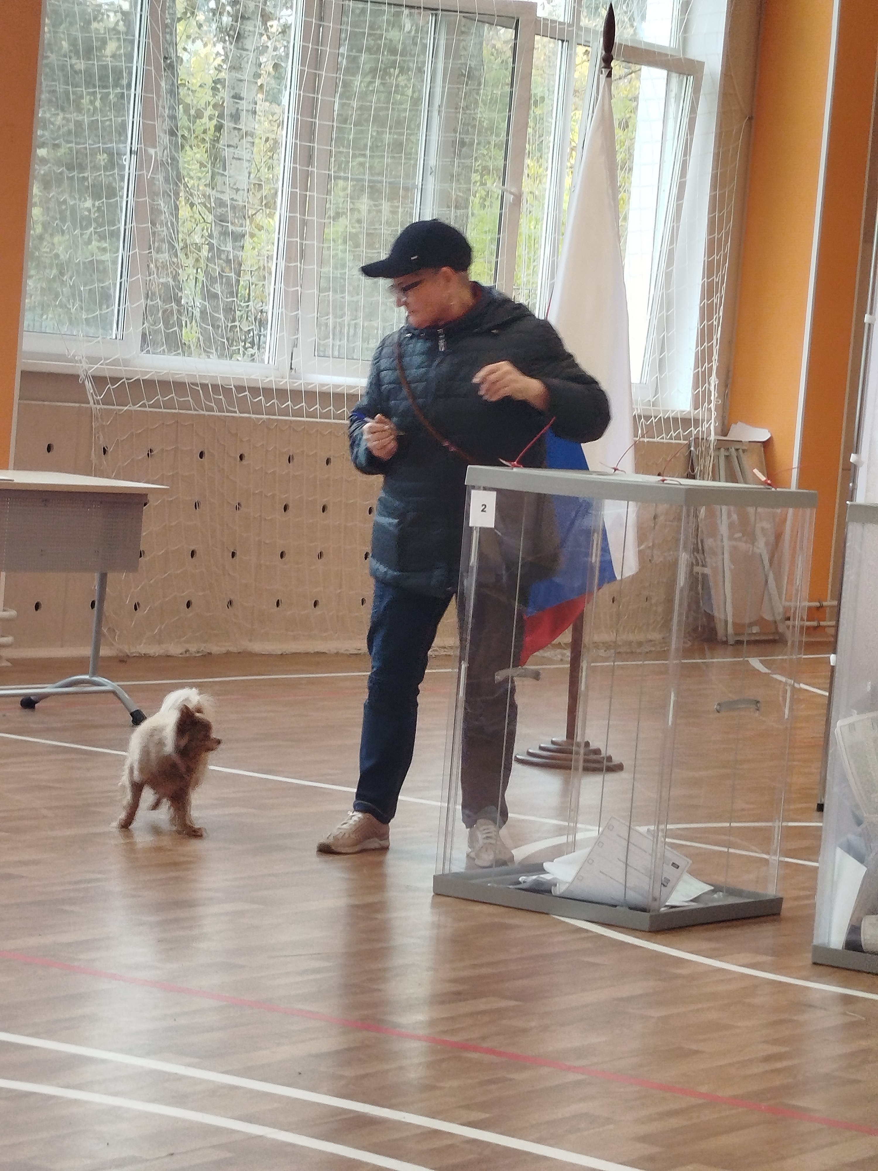 Сообщение — УИК №2347, Московская область