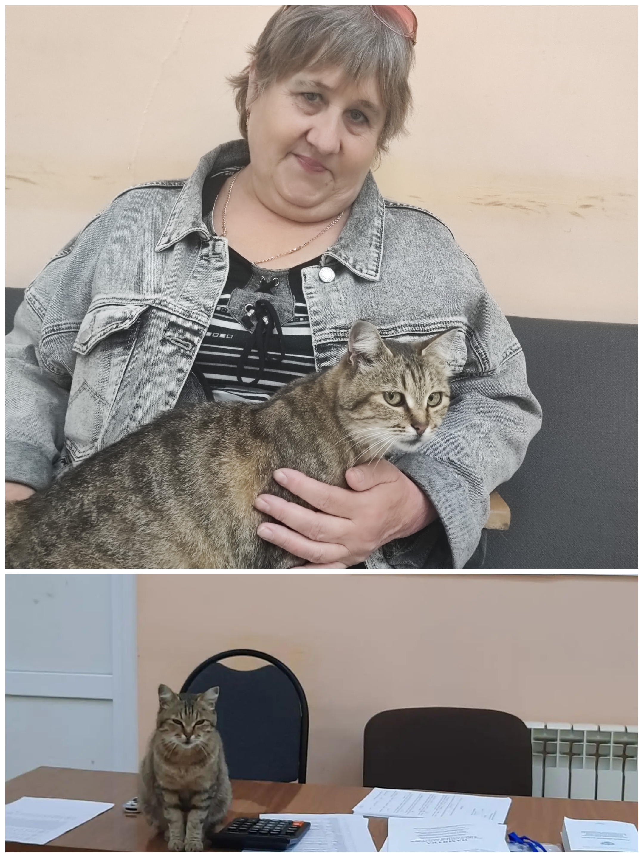 Сообщение — УИК №945, Тамбовская область