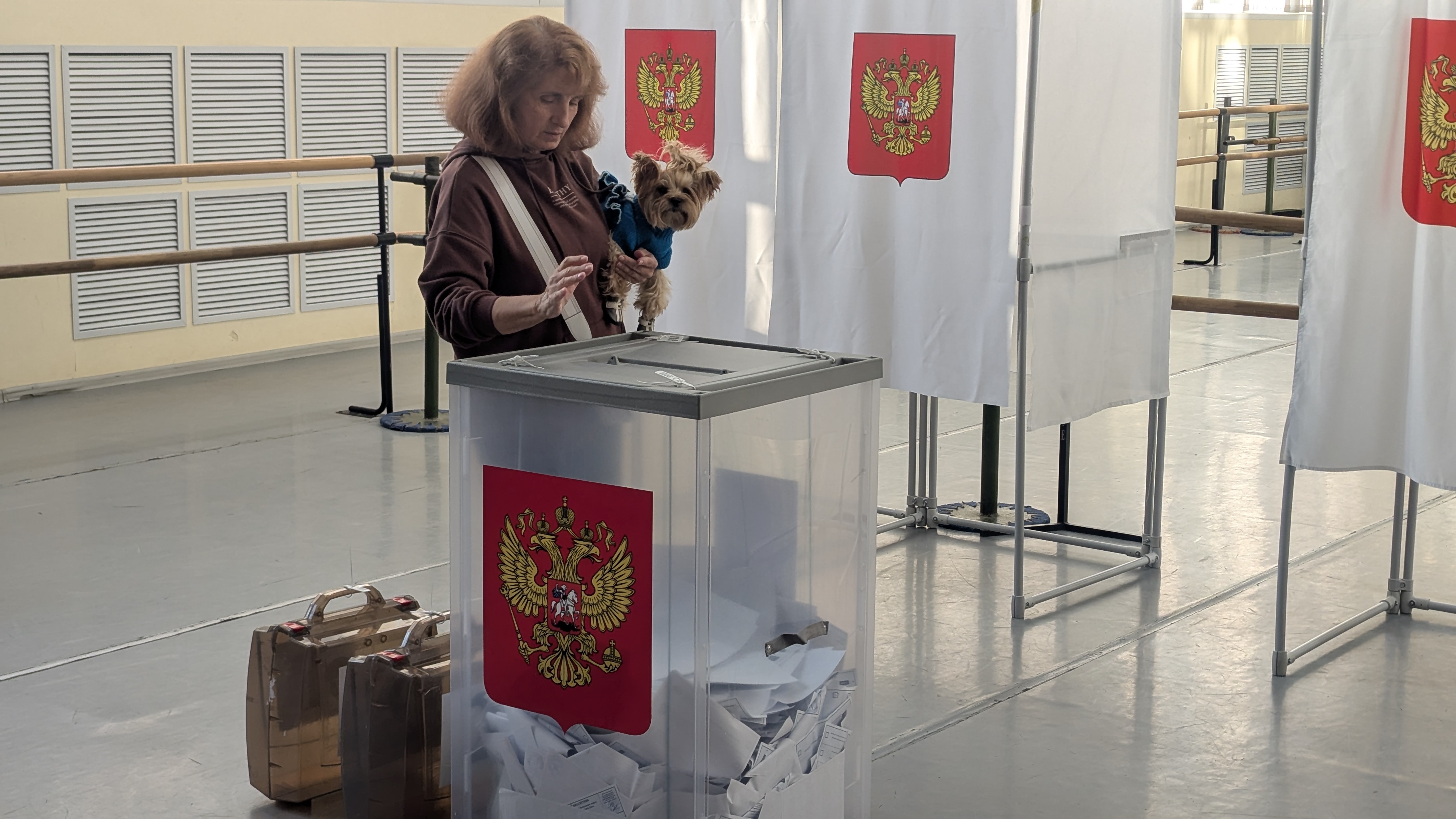Сообщение — УИК №3124, Московская область