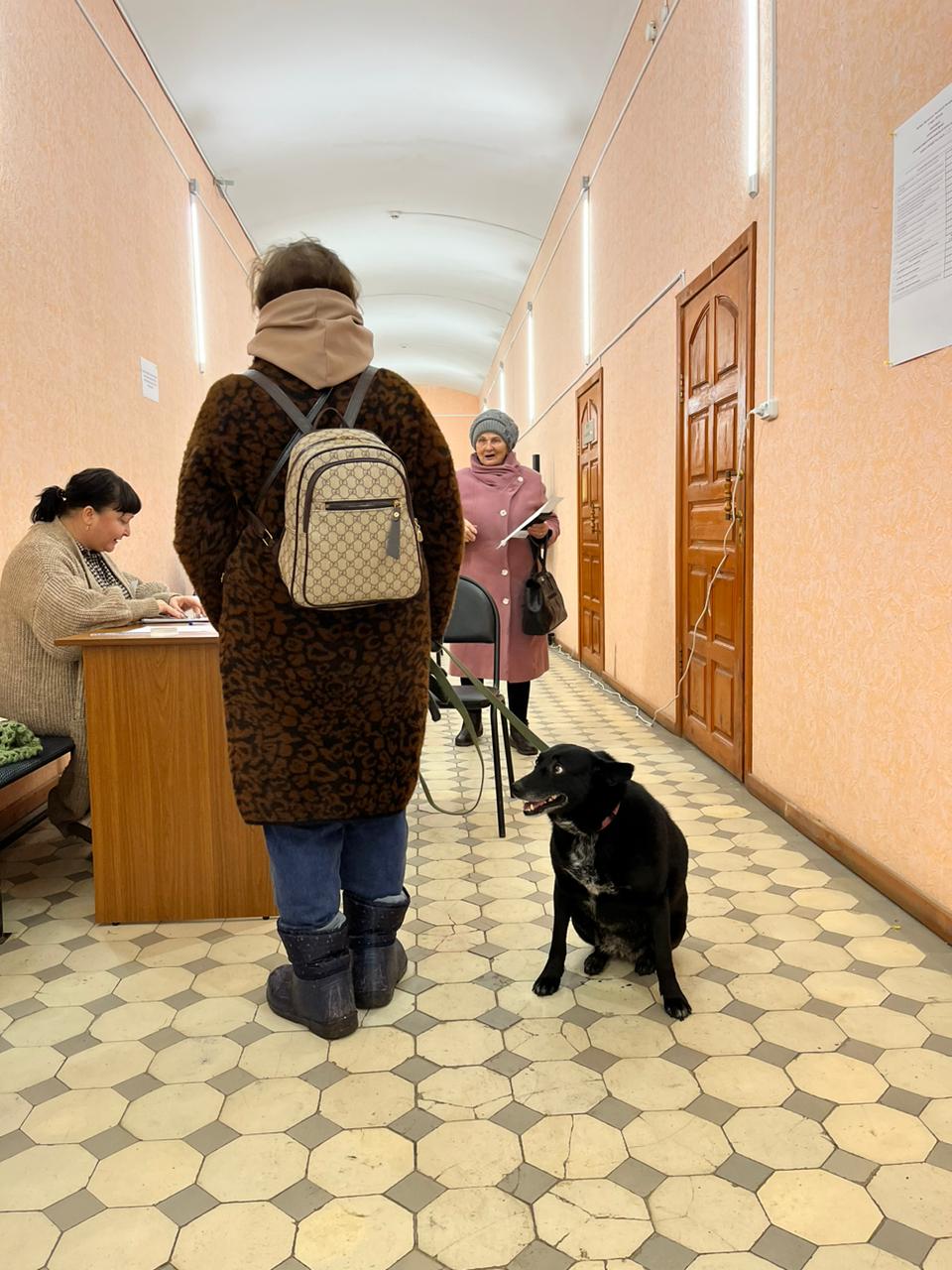 Сообщение наблюдателя — УИК №2184, Московская область