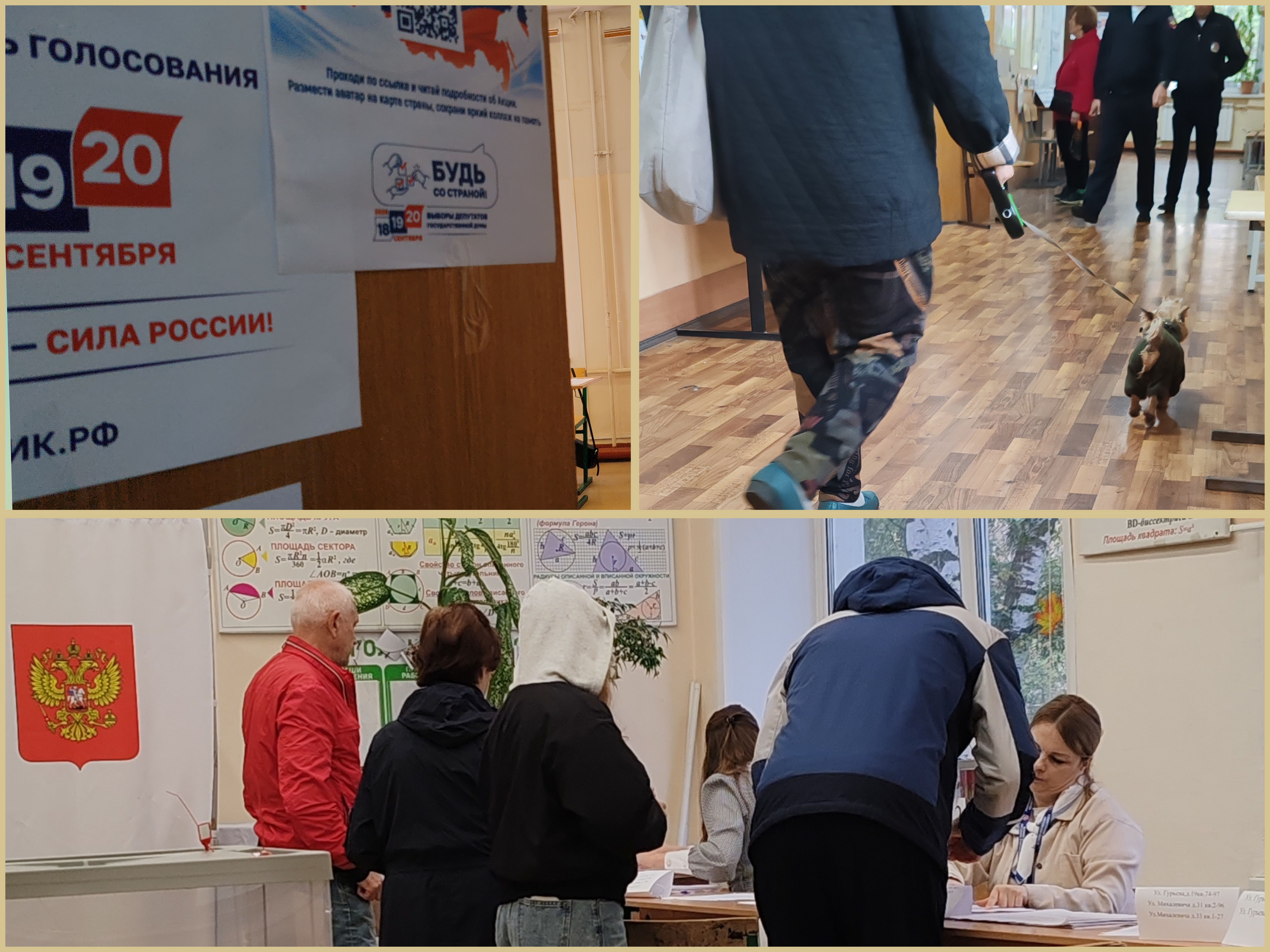Сообщение — УИК №2527, Московская область