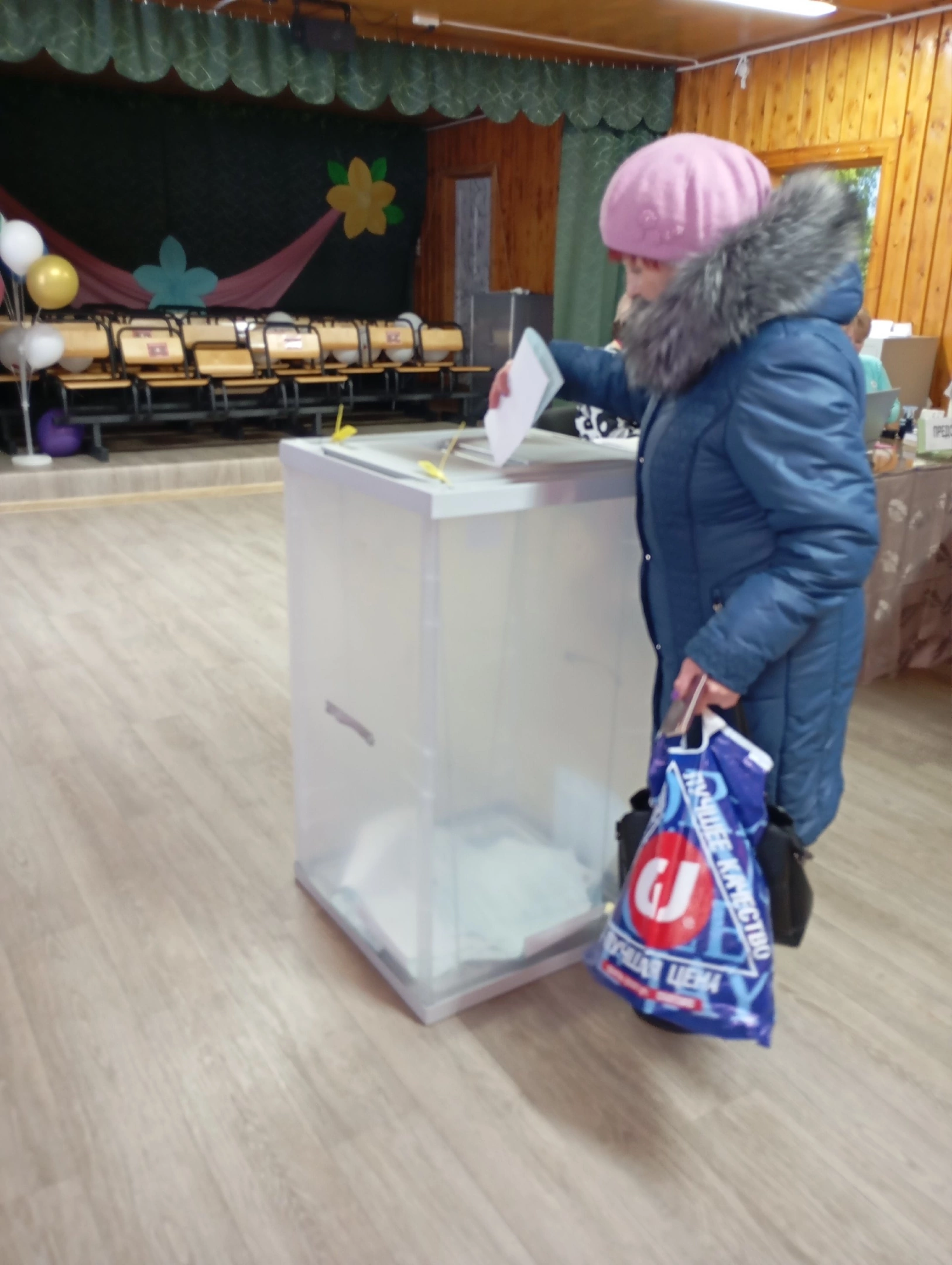 Сообщение наблюдателя — УИК №669, Архангельская область