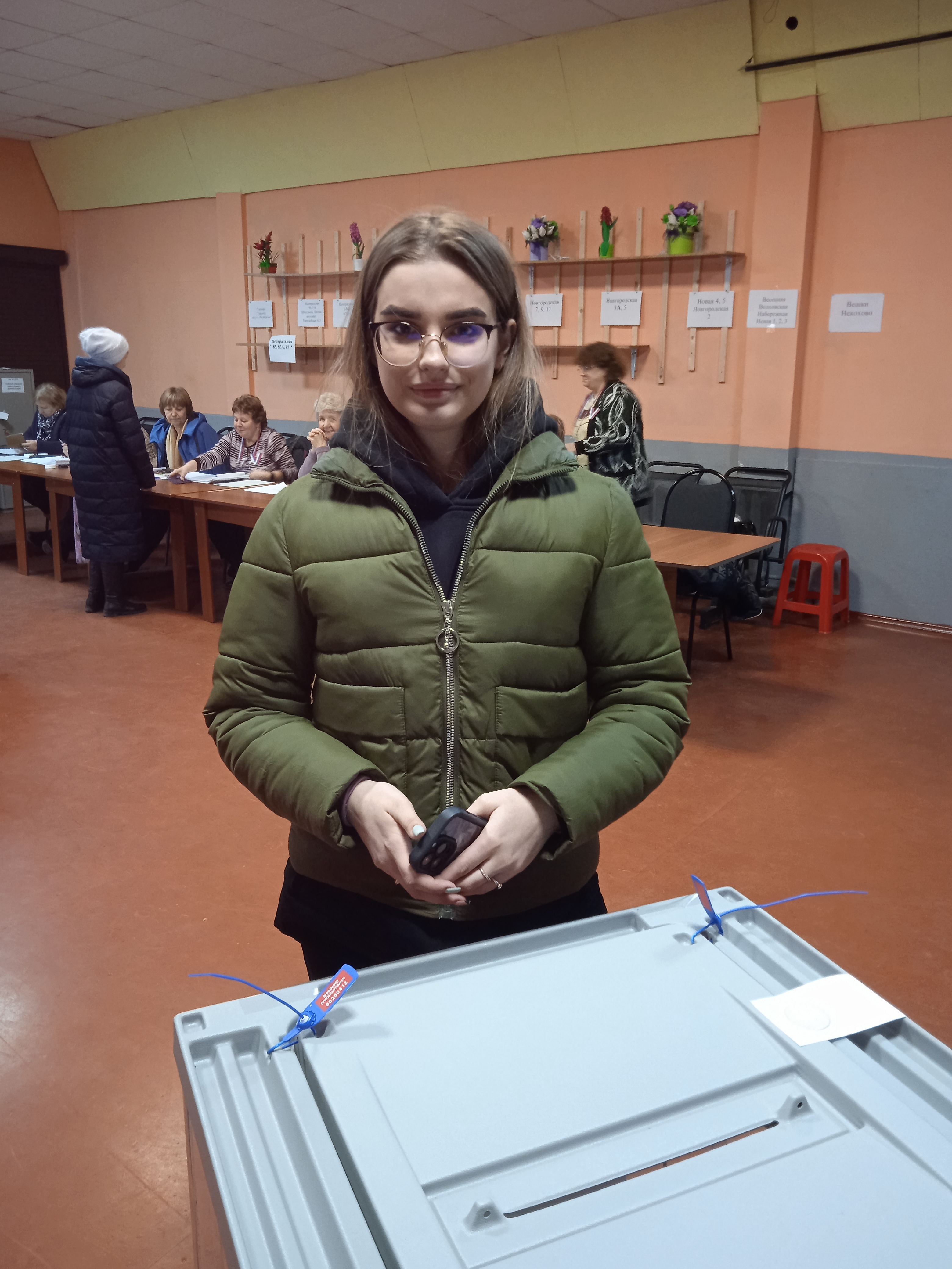 Сообщение наблюдателя — УИК №1219, Новгородская область