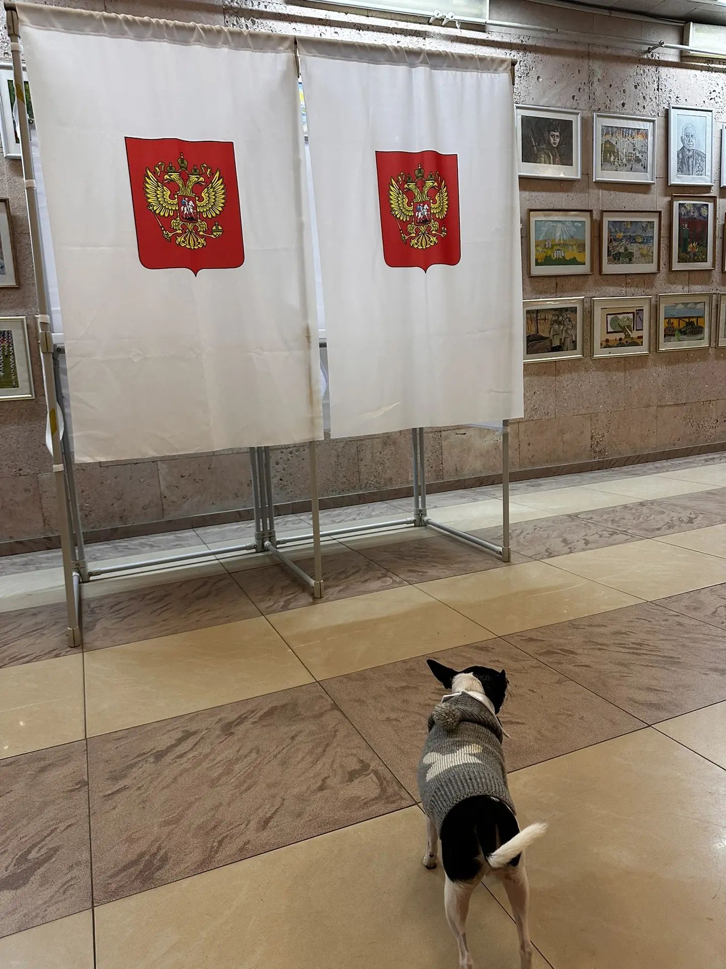 Сообщение — УИК №3661, Московская область