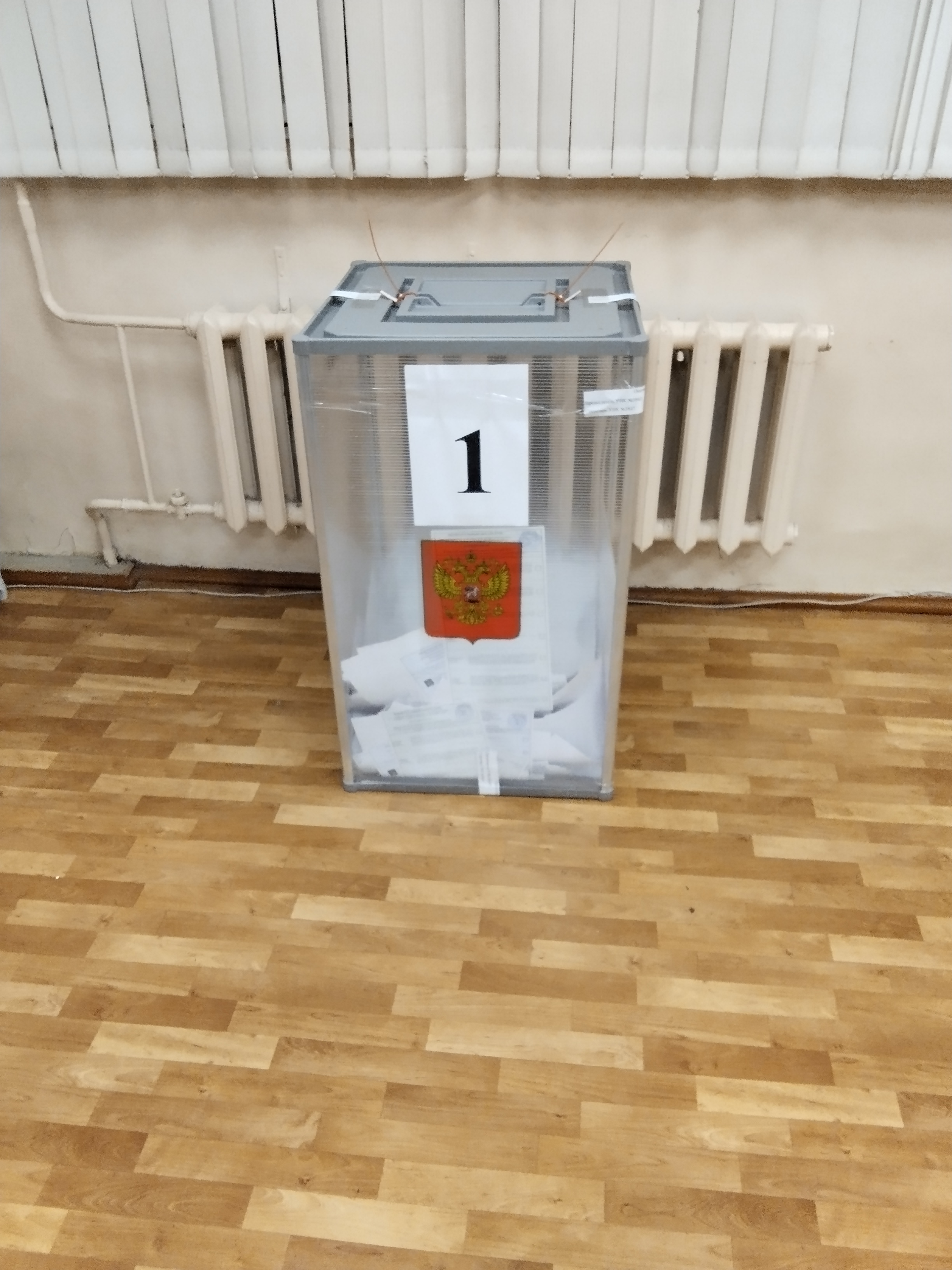 Сообщение — УИК №3847, Московская область