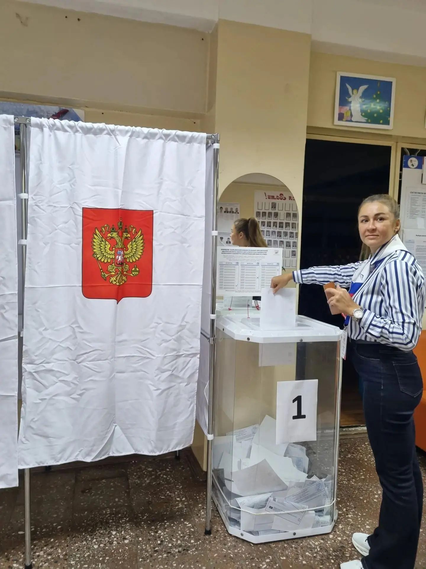 Сообщение — УИК №645, Московская область
