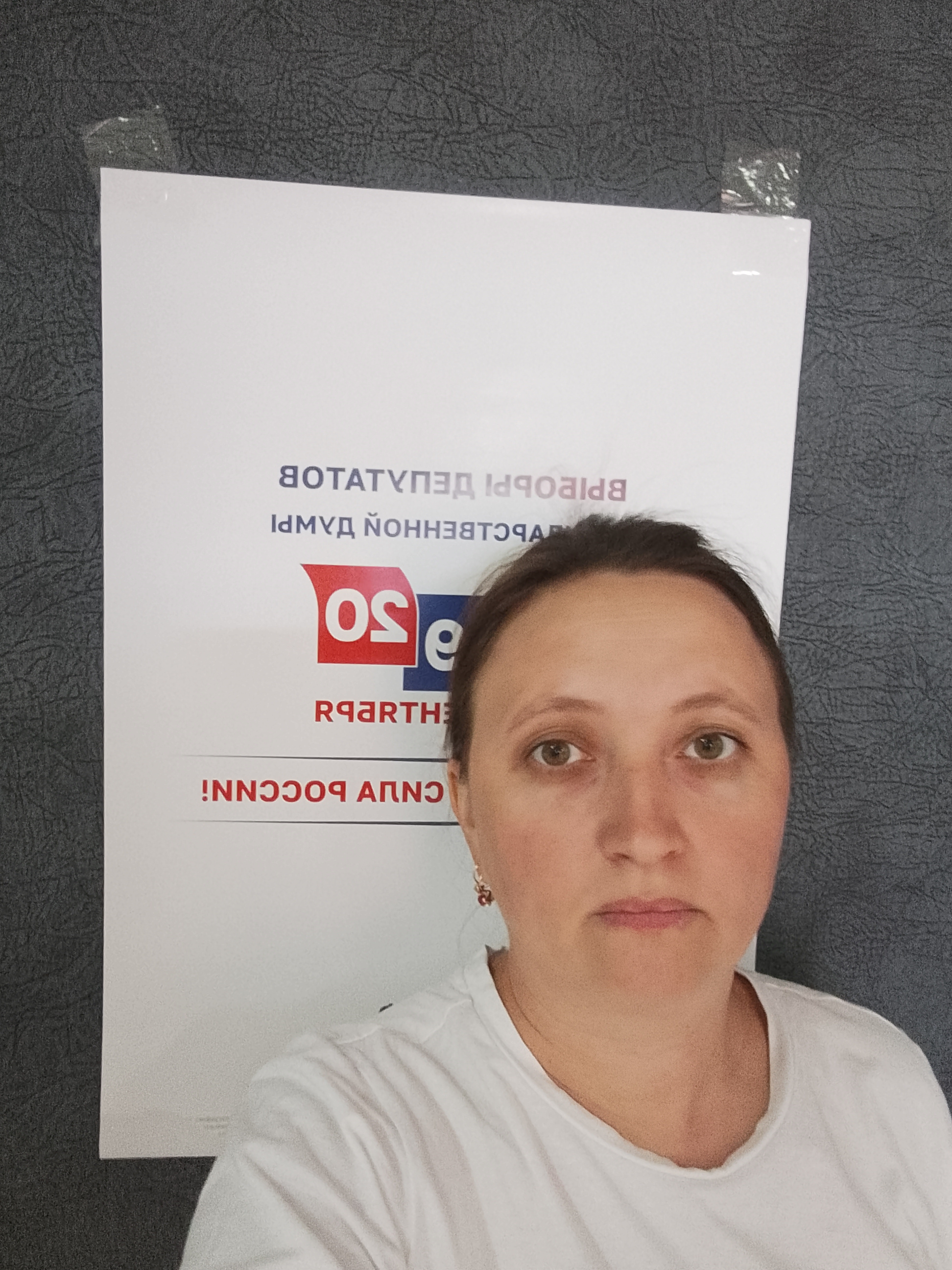 Сообщение — УИК №387, Белгородская область