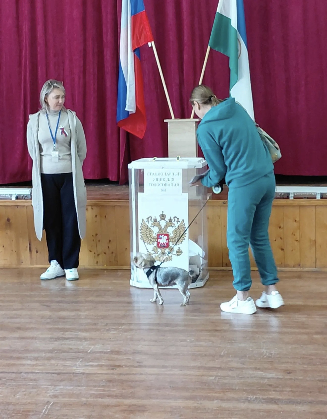 Сообщение — УИК №288, Республика Башкортостан