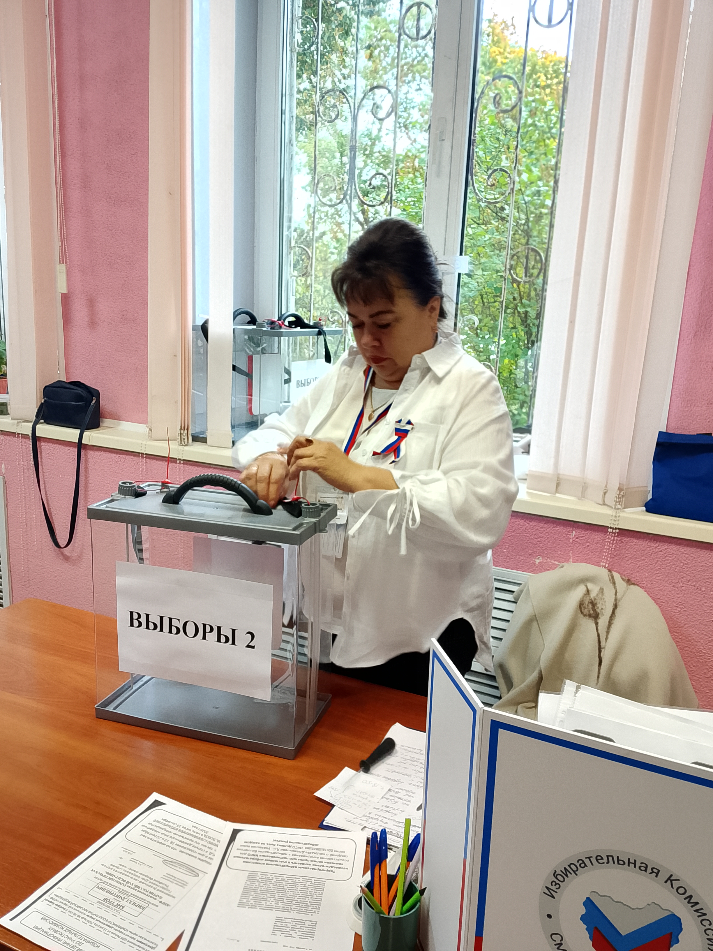 Сообщение — УИК №373, Смоленская область
