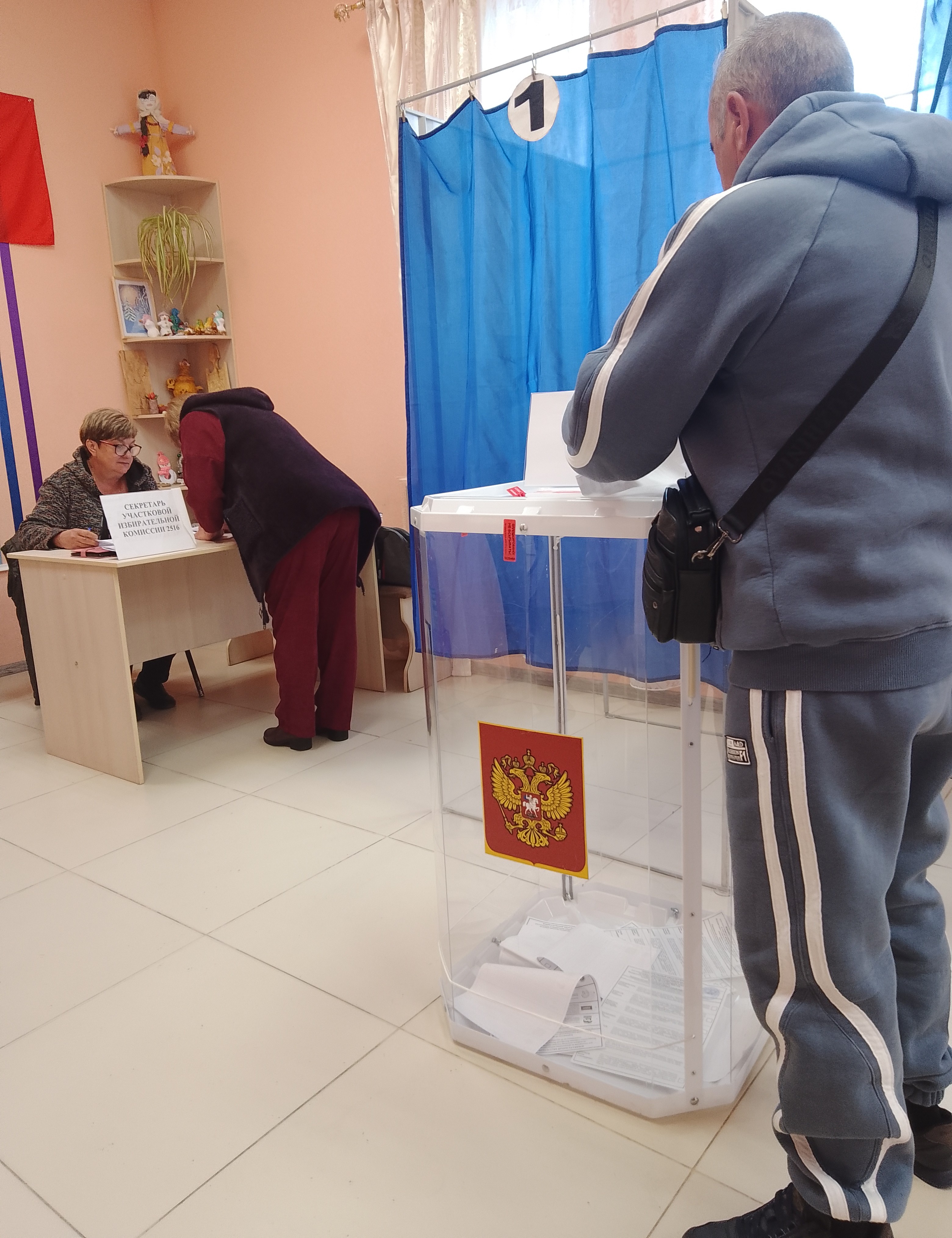 Сообщение — УИК №2516, Воронежская область