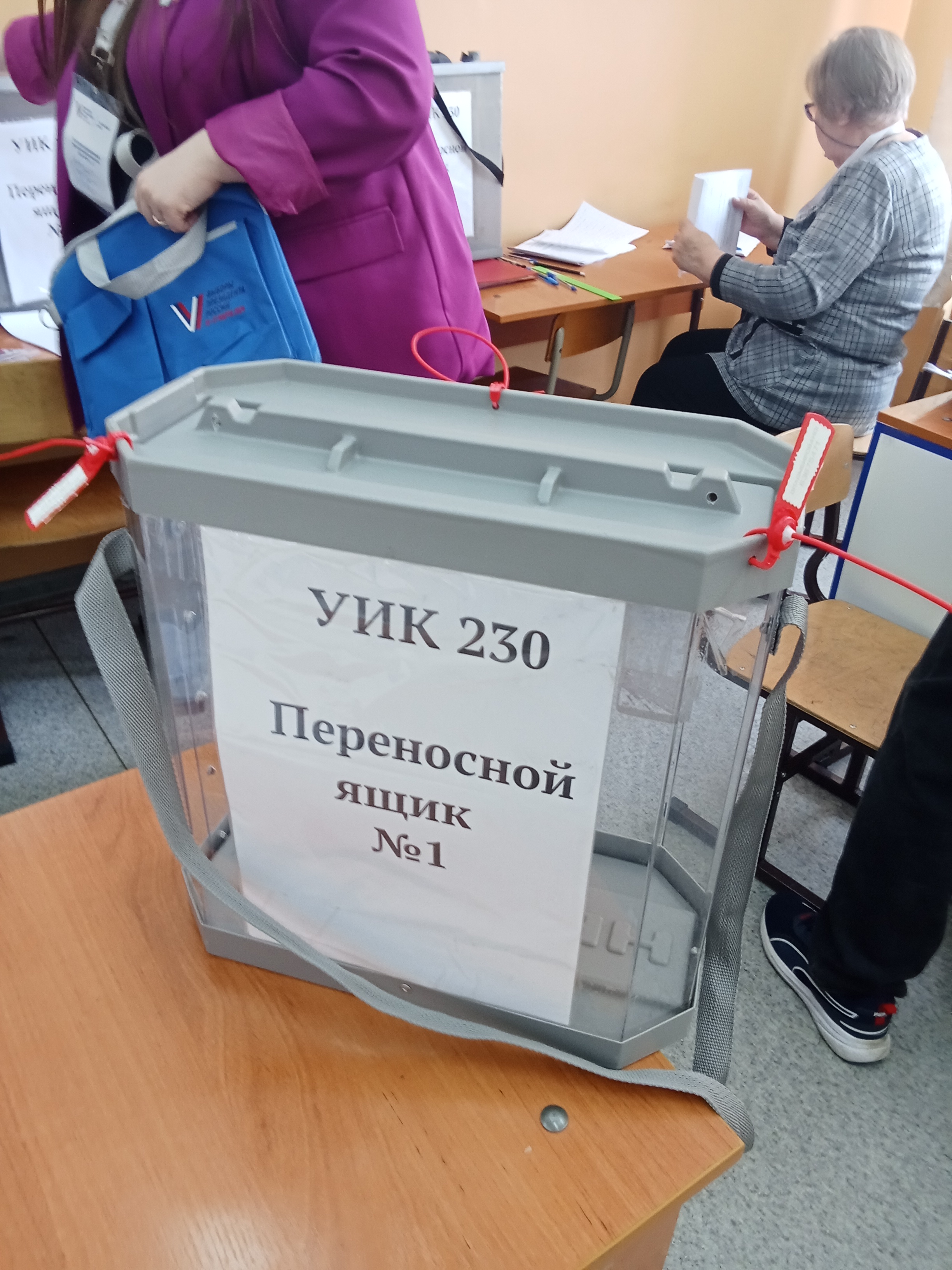 Сообщение наблюдателя — УИК №230, Алтайский край