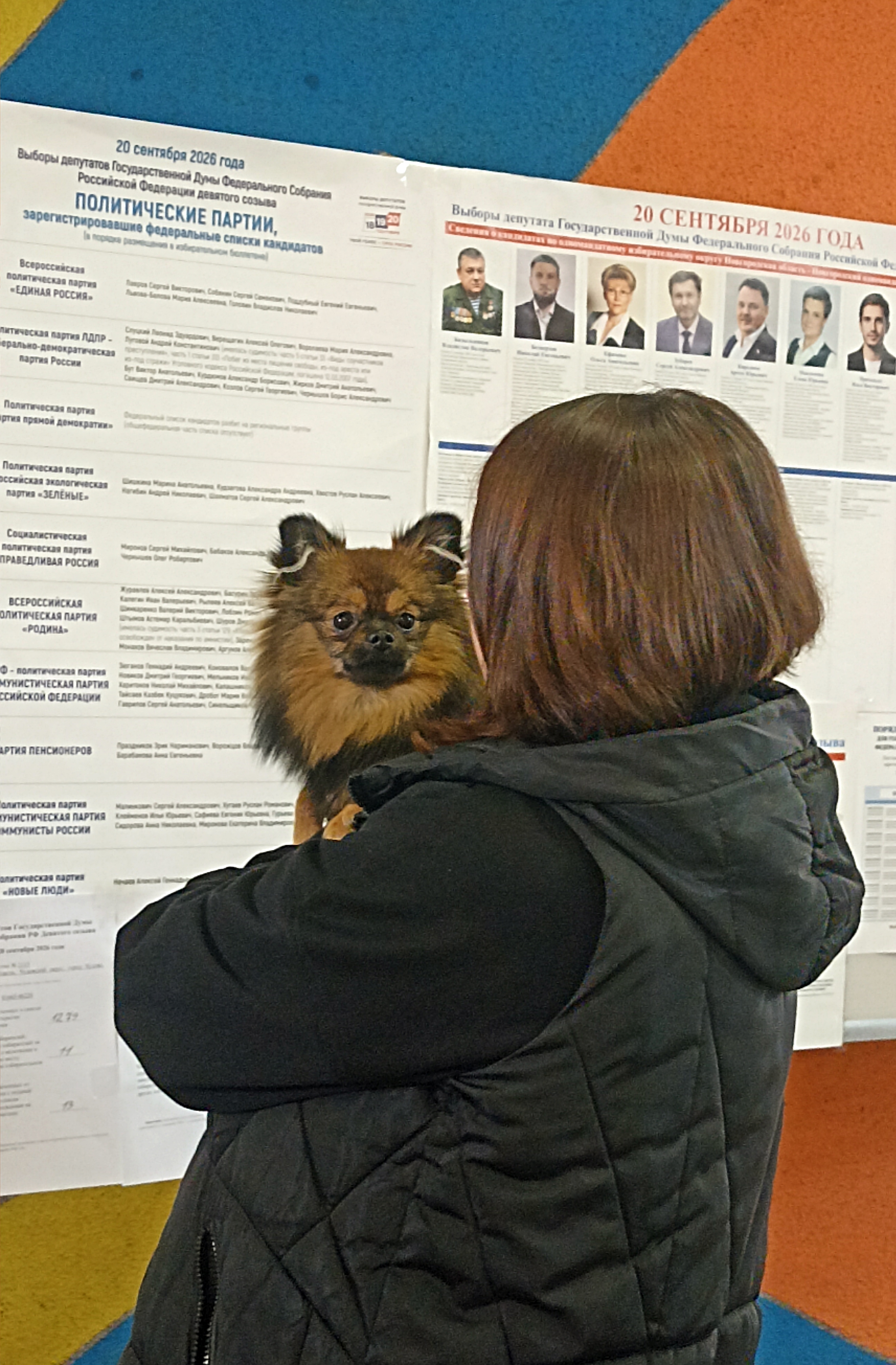 Сообщение — УИК №2115, Новгородская область
