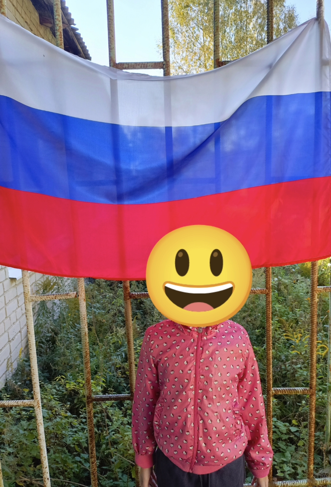 Сообщение — УИК №382, Нижегородская область
