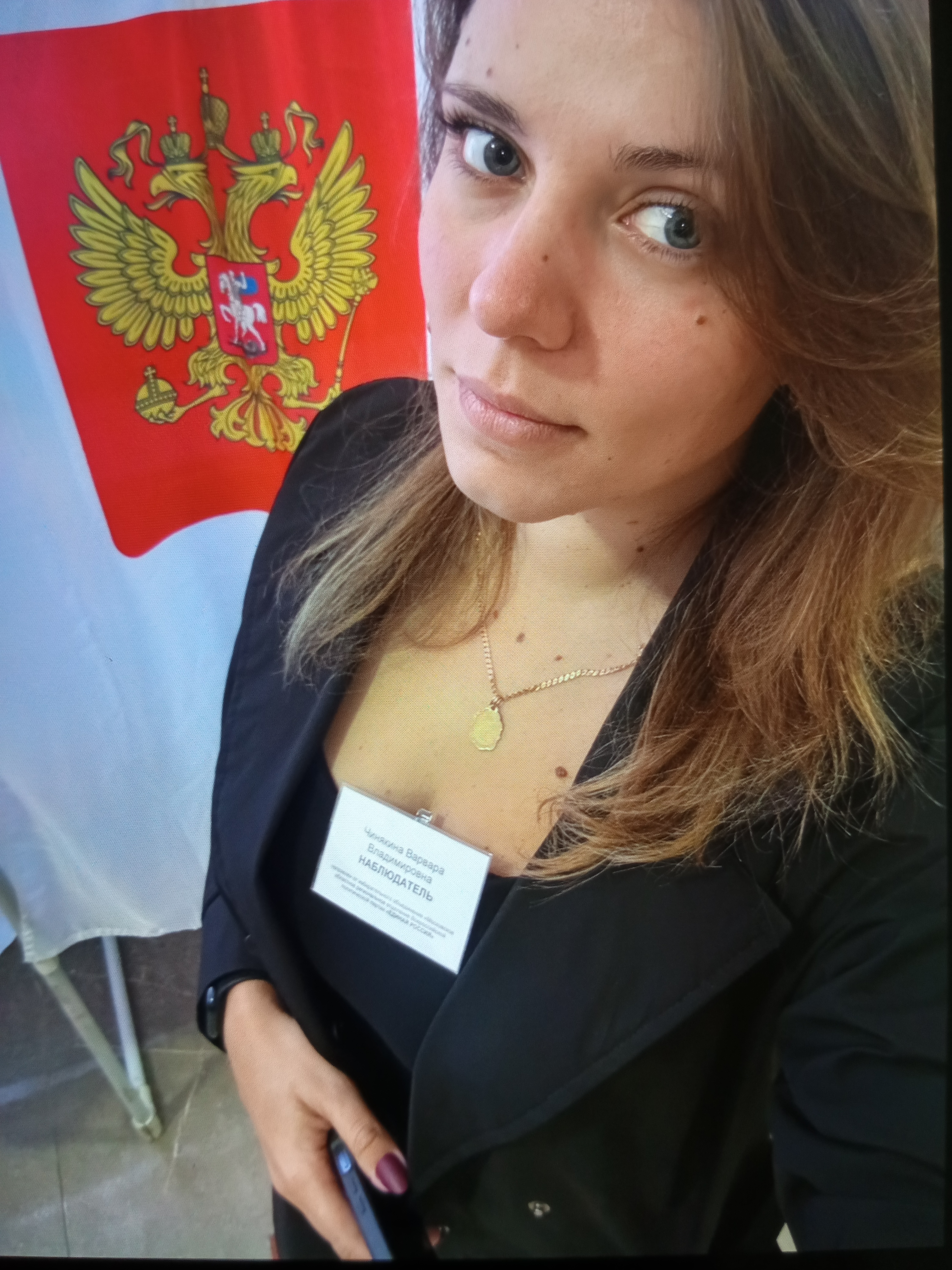 Сообщение — УИК №290, Московская область