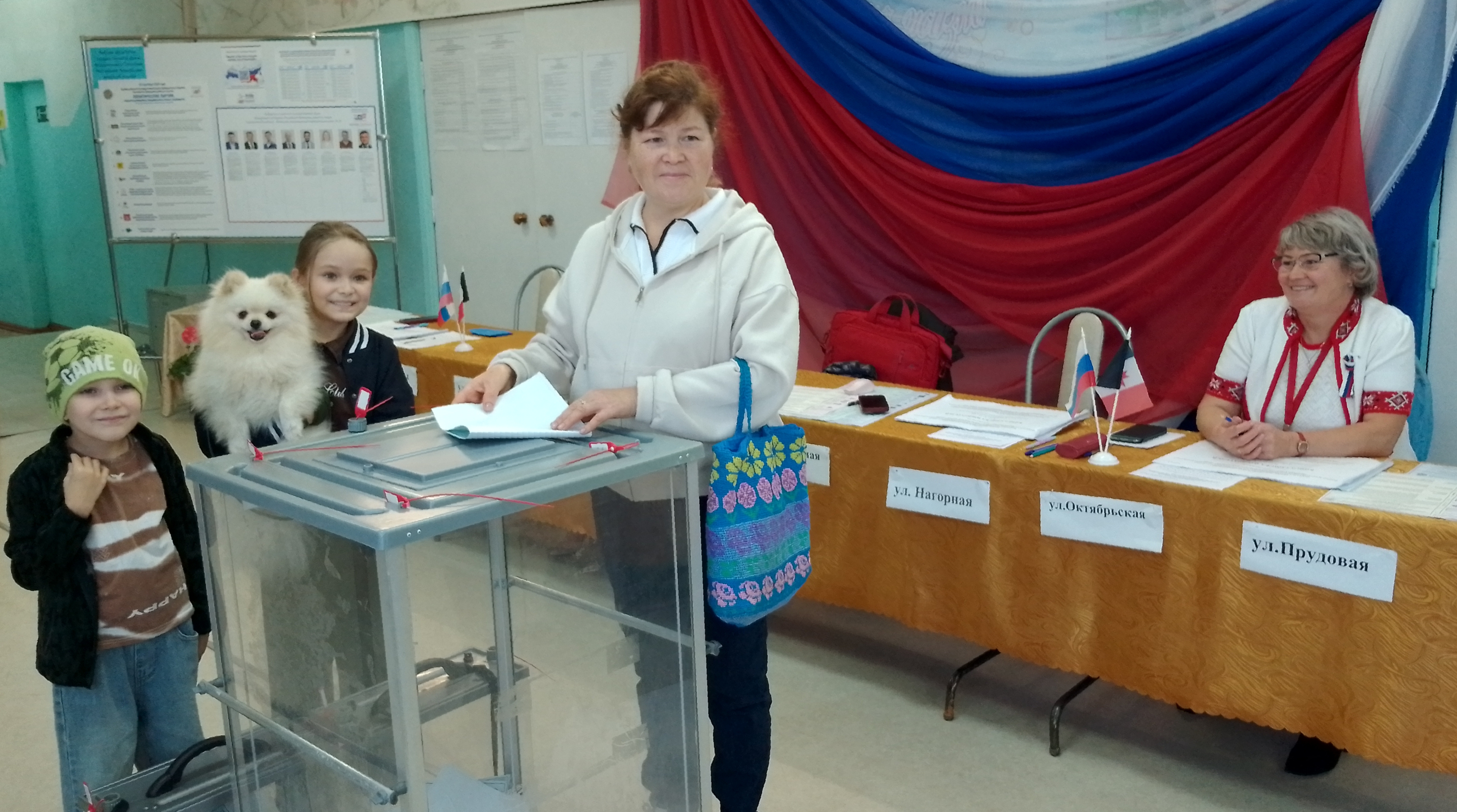 Сообщение — УИК №3020, Удмуртская Республика