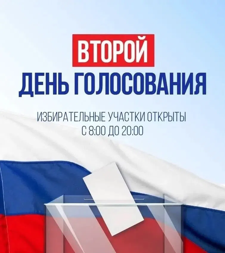 Сообщение — УИК №338, Мурманская область