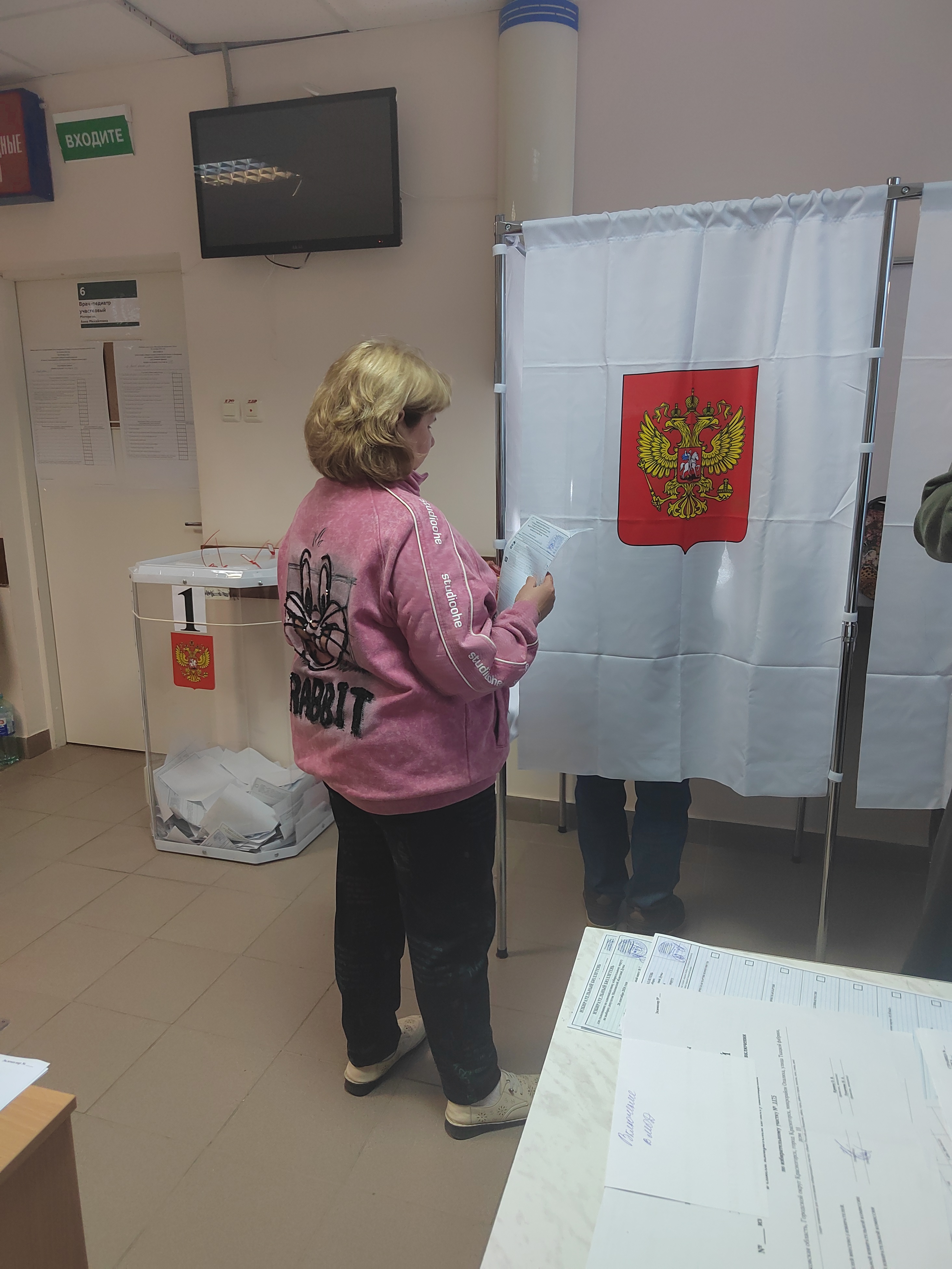 Сообщение — УИК №1175, Московская область