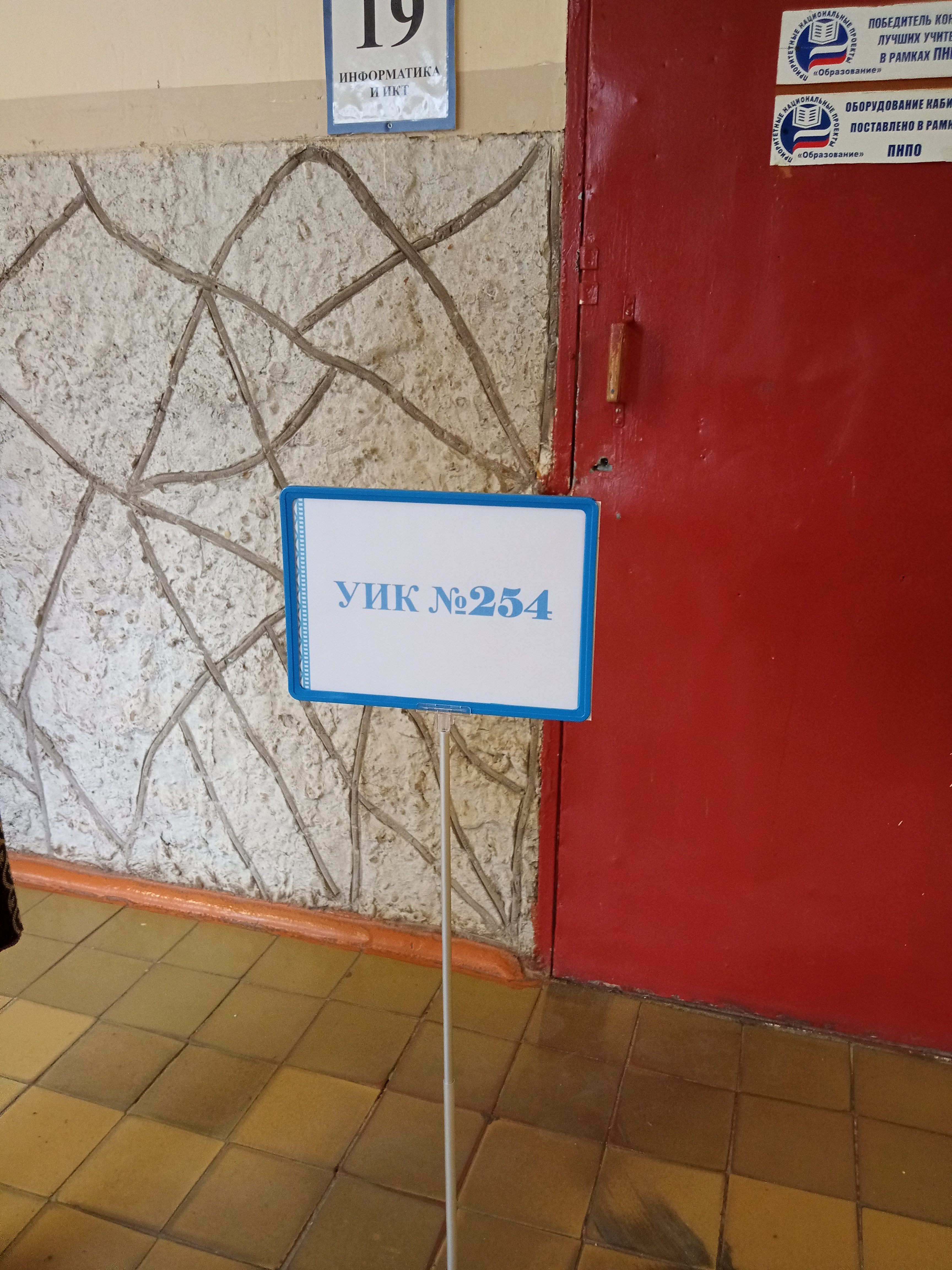 Сообщение наблюдателя — УИК №254, Псковская область