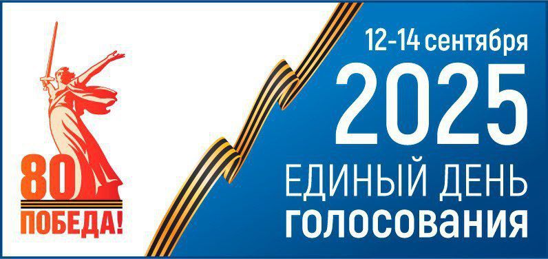 Сообщение наблюдателя — УИК №96, Брянская область