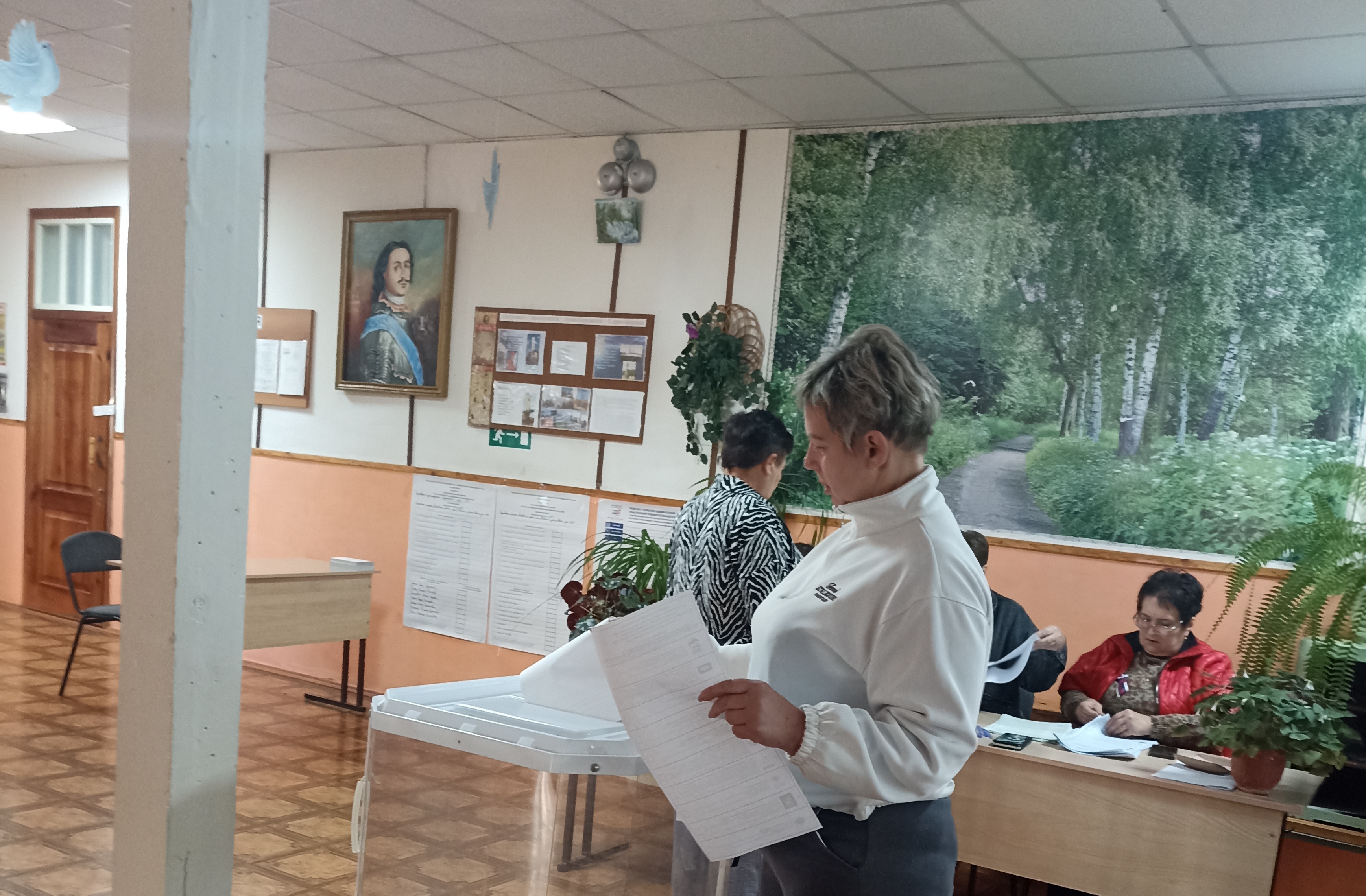 Сообщение — УИК №1254, Саратовская область