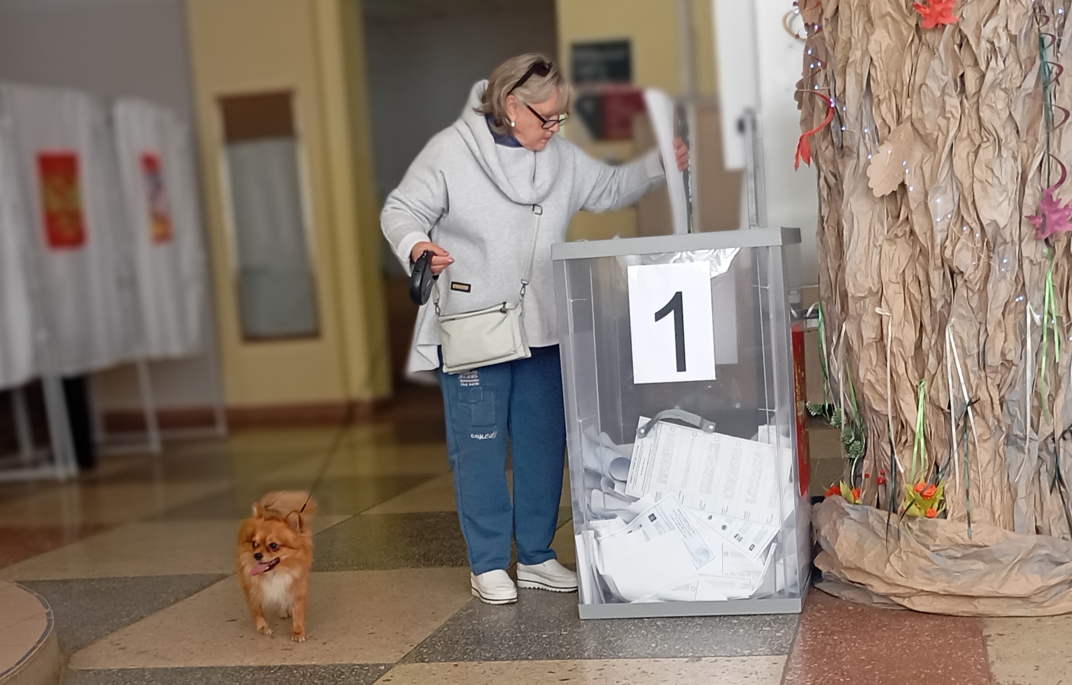 Сообщение — УИК №3123, Московская область