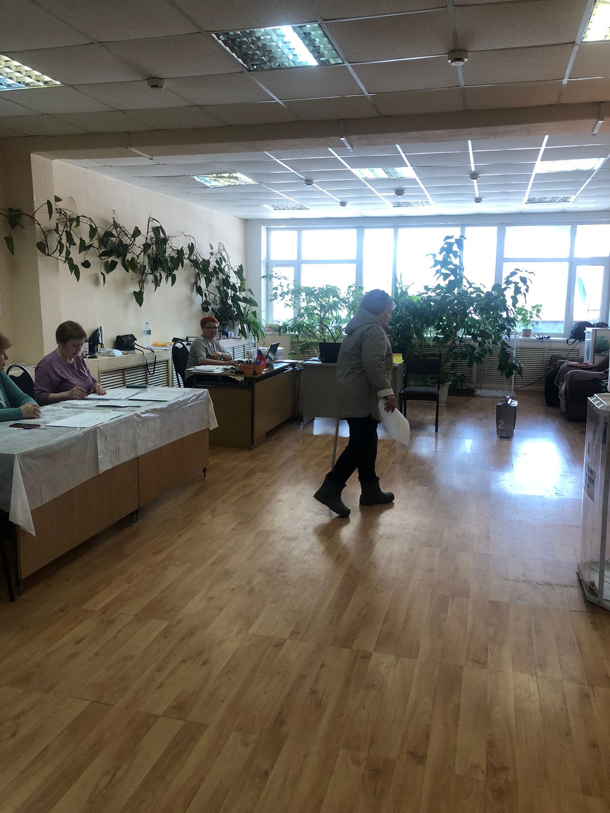 Сообщение наблюдателя — УИК №684, Московская область